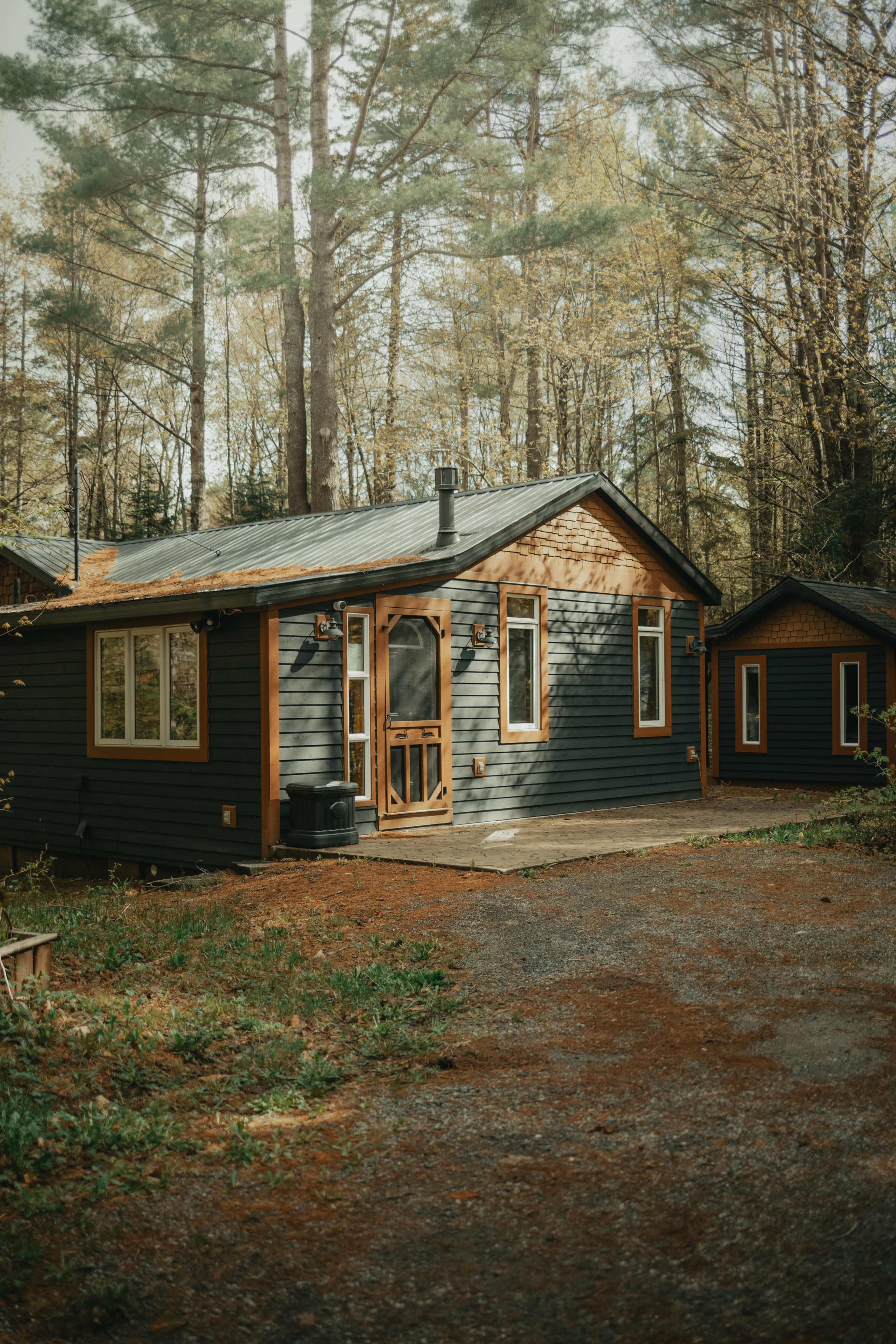 A dark-colored cabin nestled among tall trees in a wooded area.