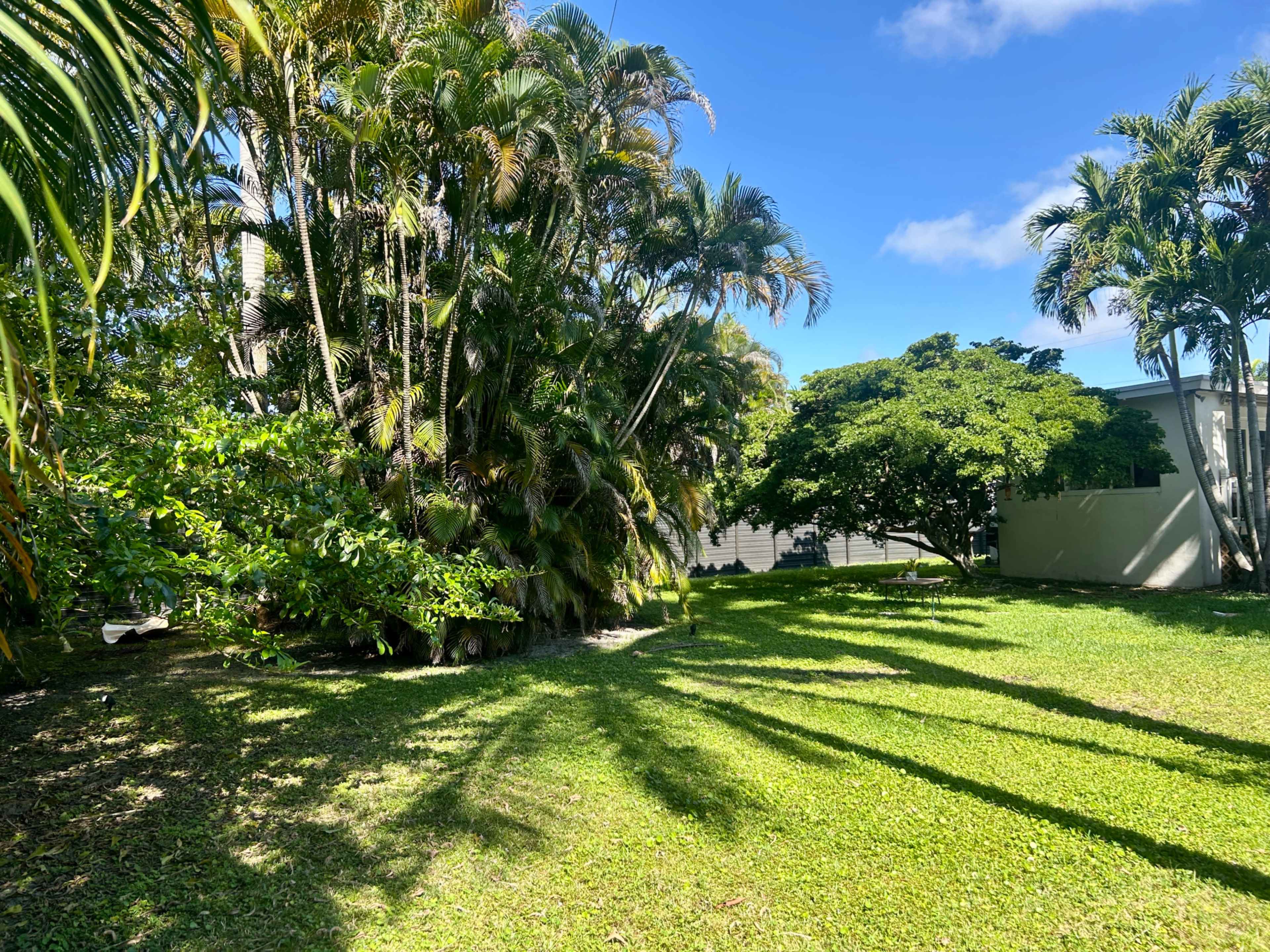 Tulum Jungle Oasis in Miami – Lush Tropical Backyard with Deck & Couch for Shoots, Wellness, and Events Image in , Miami, FL