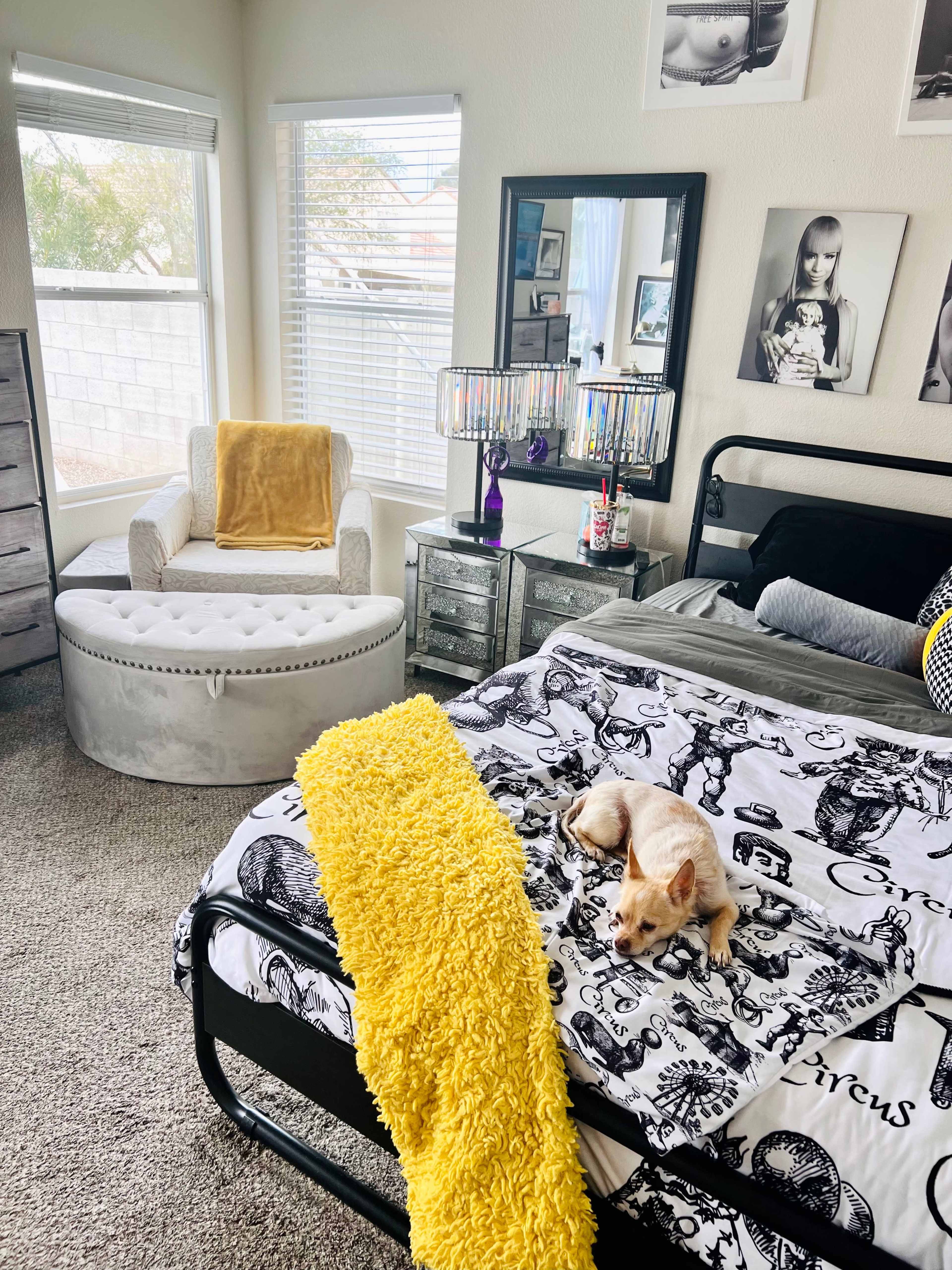 A light-filled bedroom features a black bed with a patterned duvet, a yellow throw blanket, a small dog on the bed, a gray accent chair, and a mirrored dresser.
