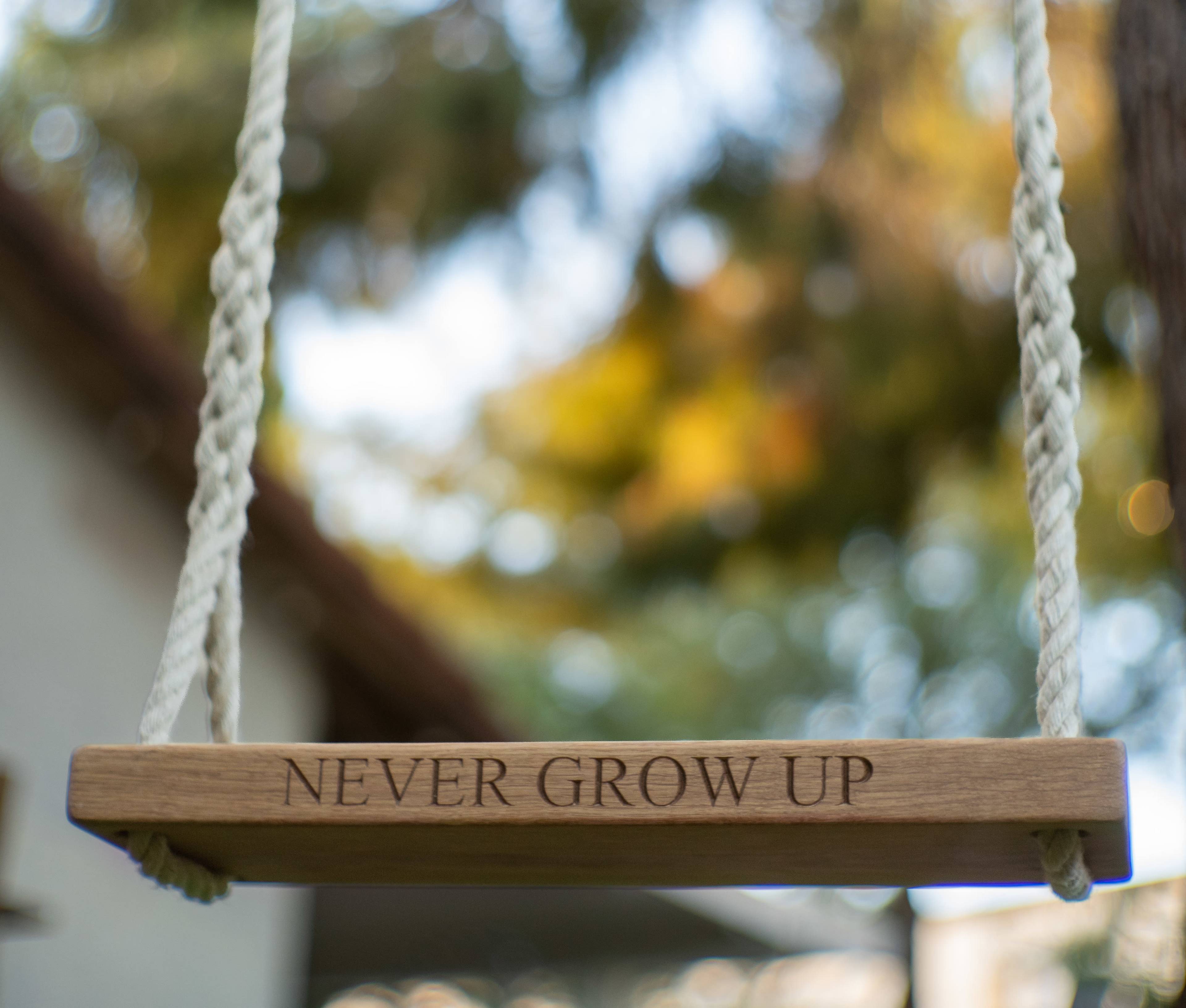 A wooden swing with the phrase "NEVER GROW UP" engraved on it hangs suspended by thick white ropes.