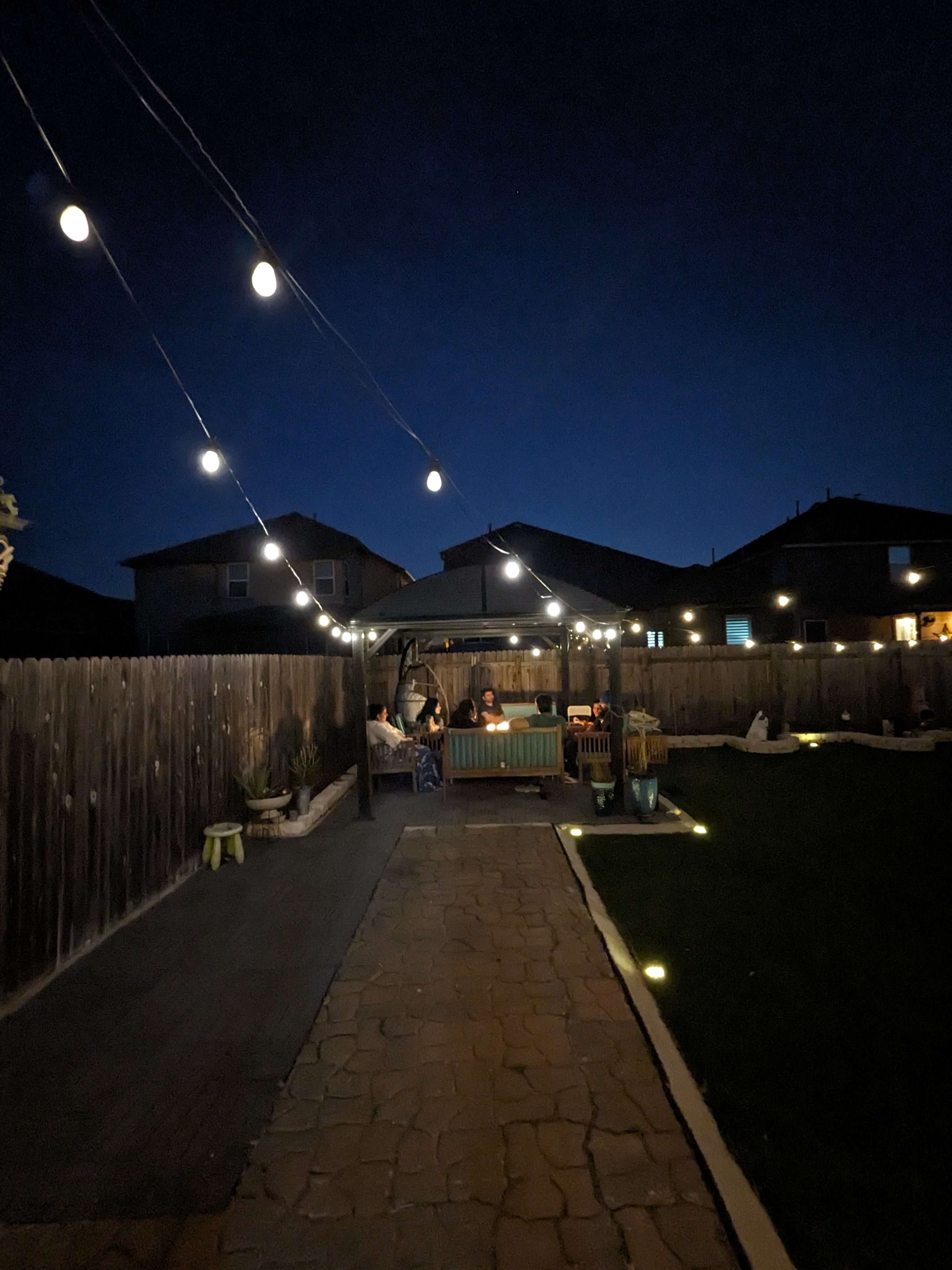 Trendy Backyard Image in Austin, Austin, TX