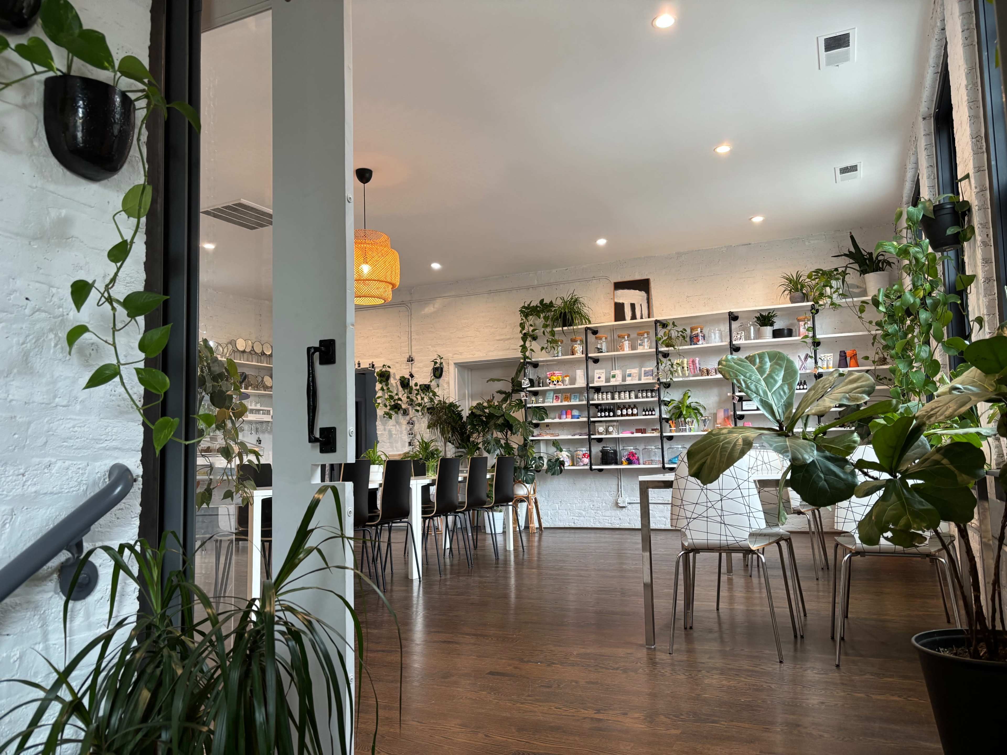 The image shows a bright, modern indoor space with plants, shelves filled with products, and a seating area with metal chairs.