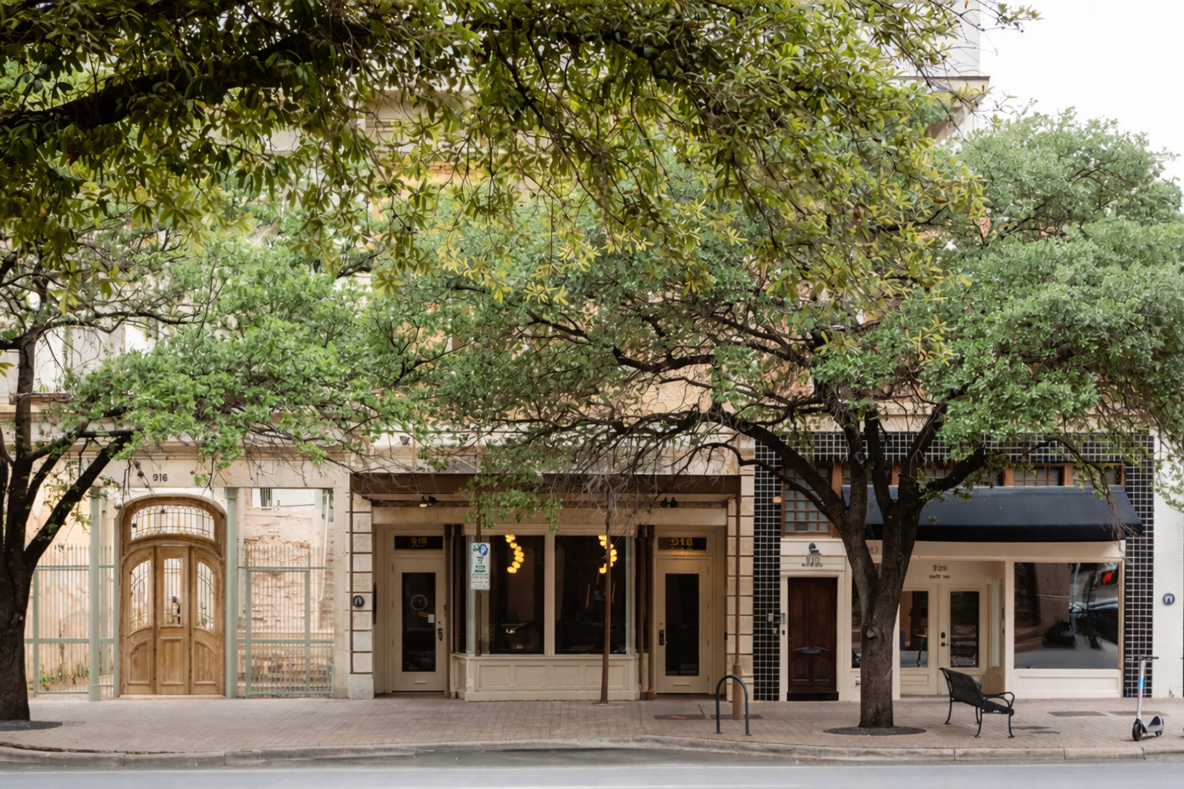 The image shows a row of storefronts framed by large trees in a city setting.