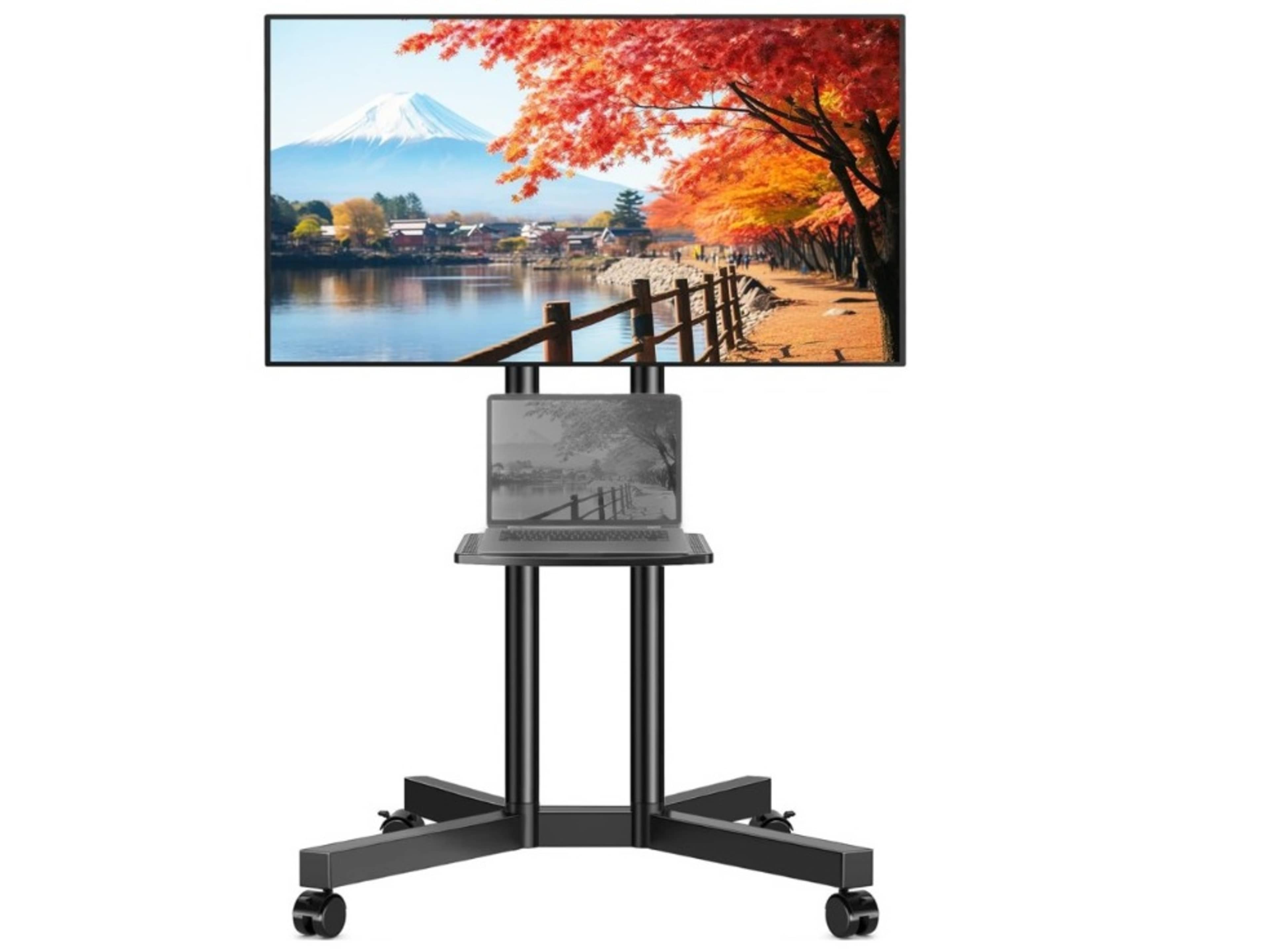 55" 4K TV on Rolling stand 