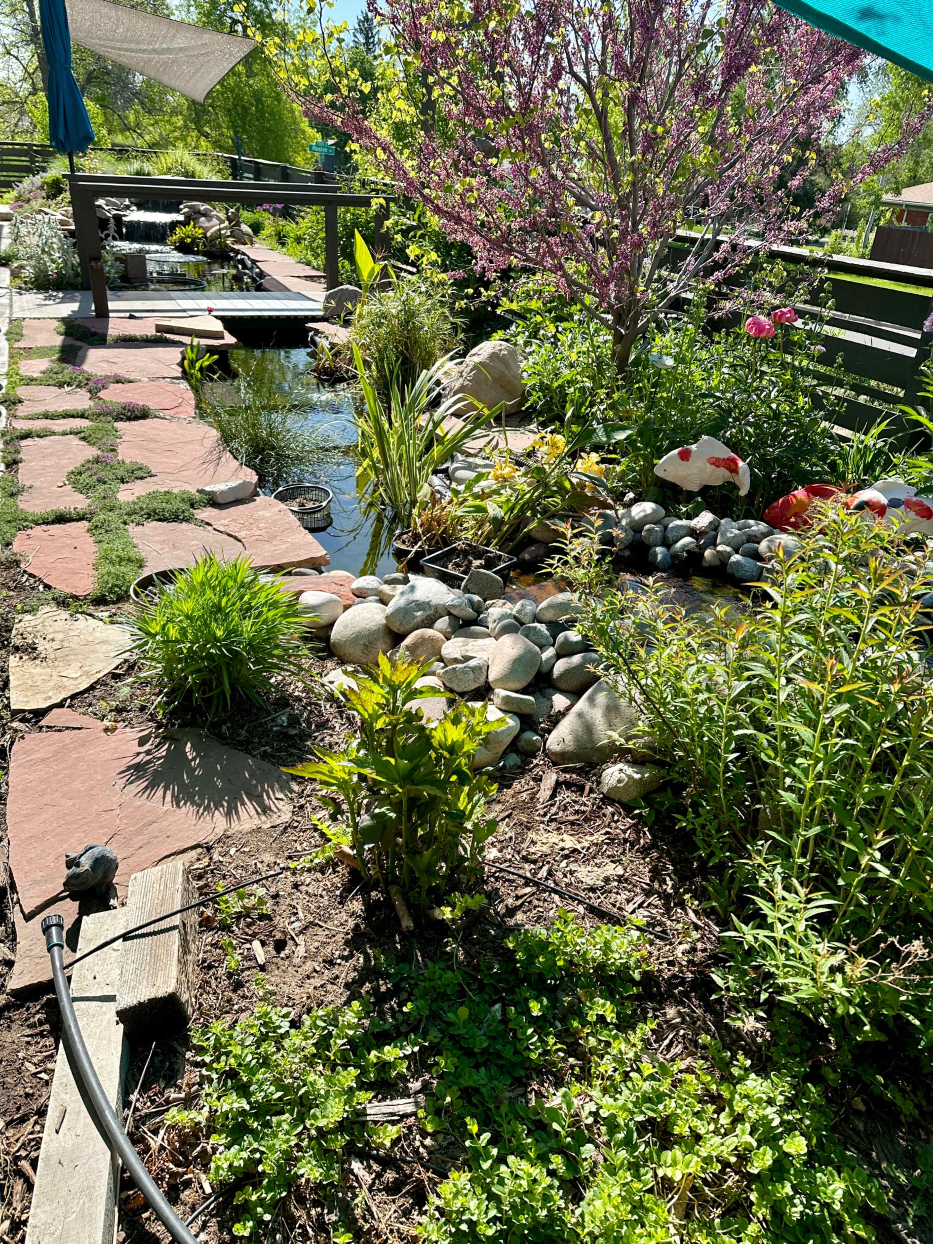 The image features a landscaped garden with a stone pathway, a pond surrounded by rocks and plants, and a flowering tree in the background.