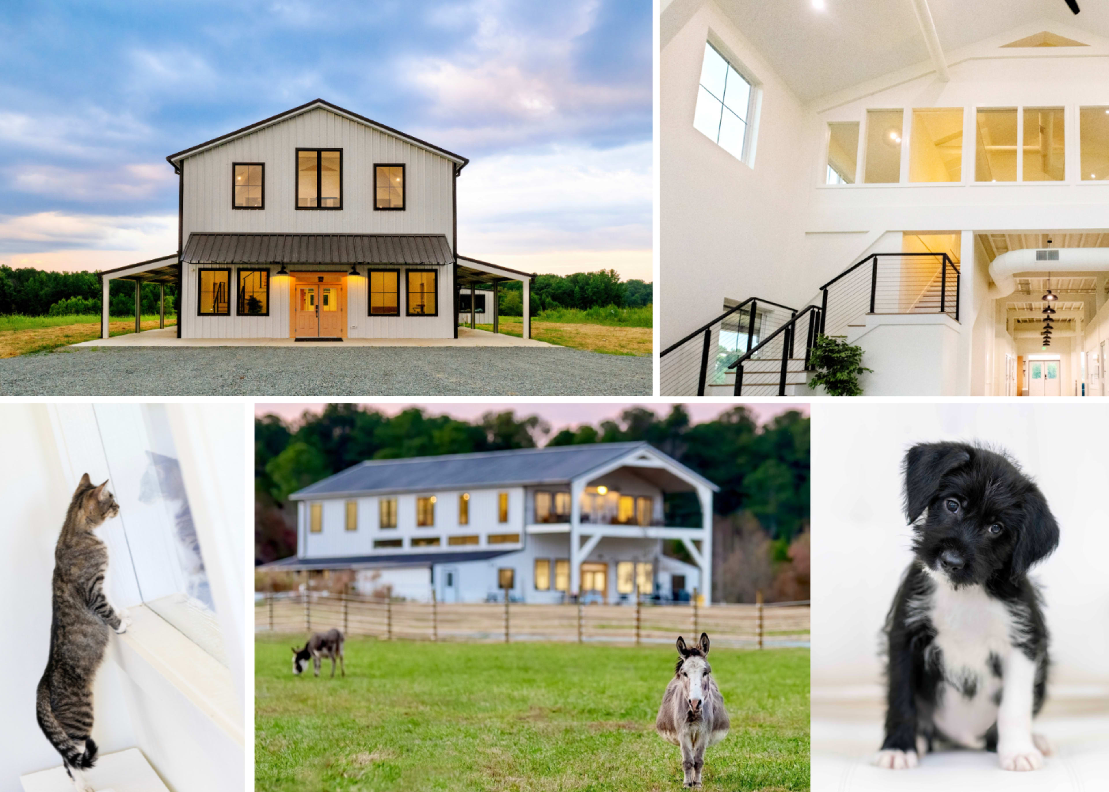 The image features a modern barn-style house surrounded by greenery, showcasing both the exterior and interior along with animals, including a cat and a puppy looking out a window.
