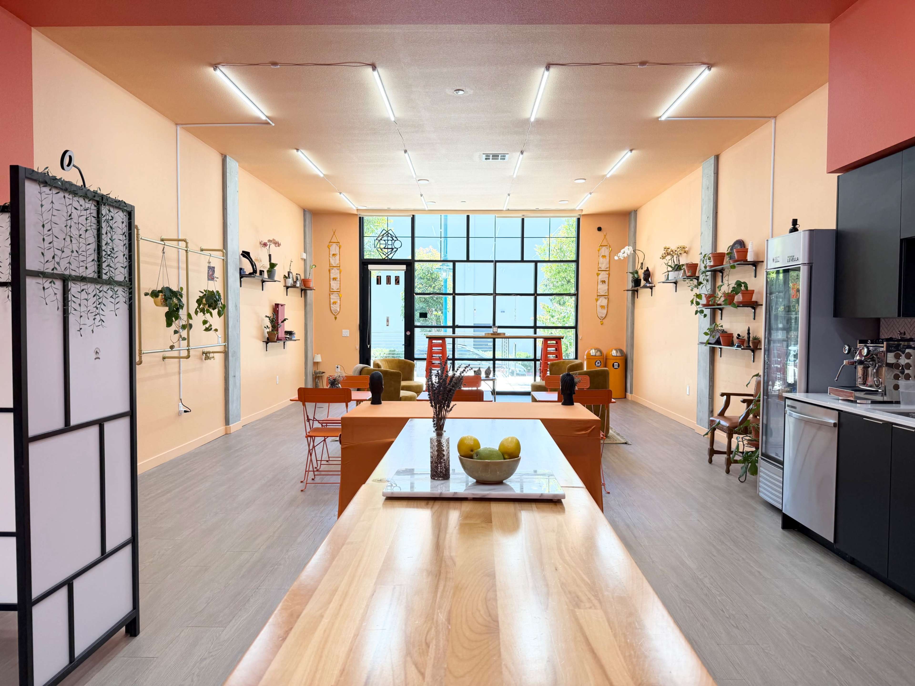 The image shows a bright, modern open space that features a kitchen area with wooden countertops, various plants on the walls, and colorful furniture.