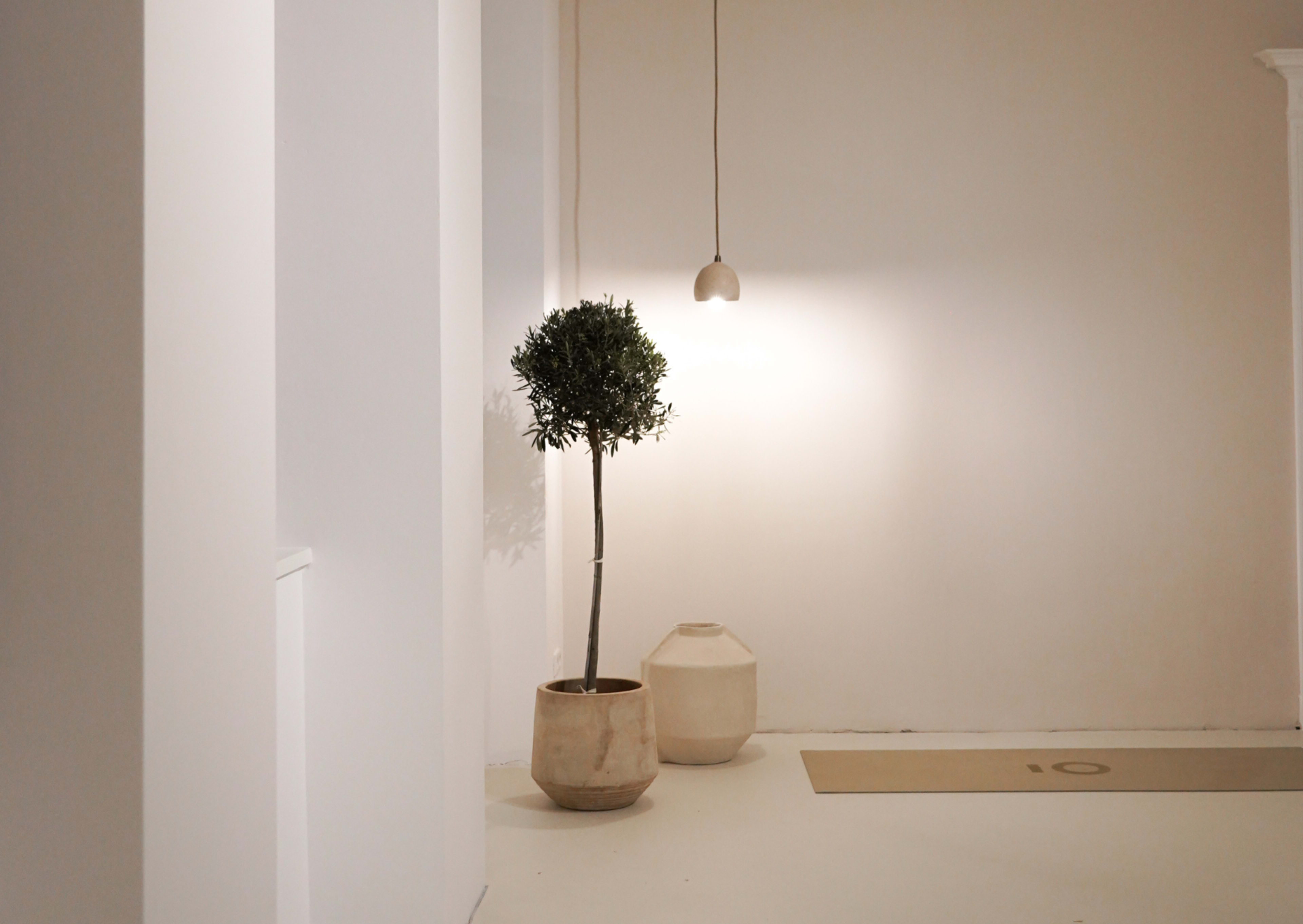 A small indoor tree stands in a pot next to a large, rounded stoneware vase under a pendant light in a minimalist room.