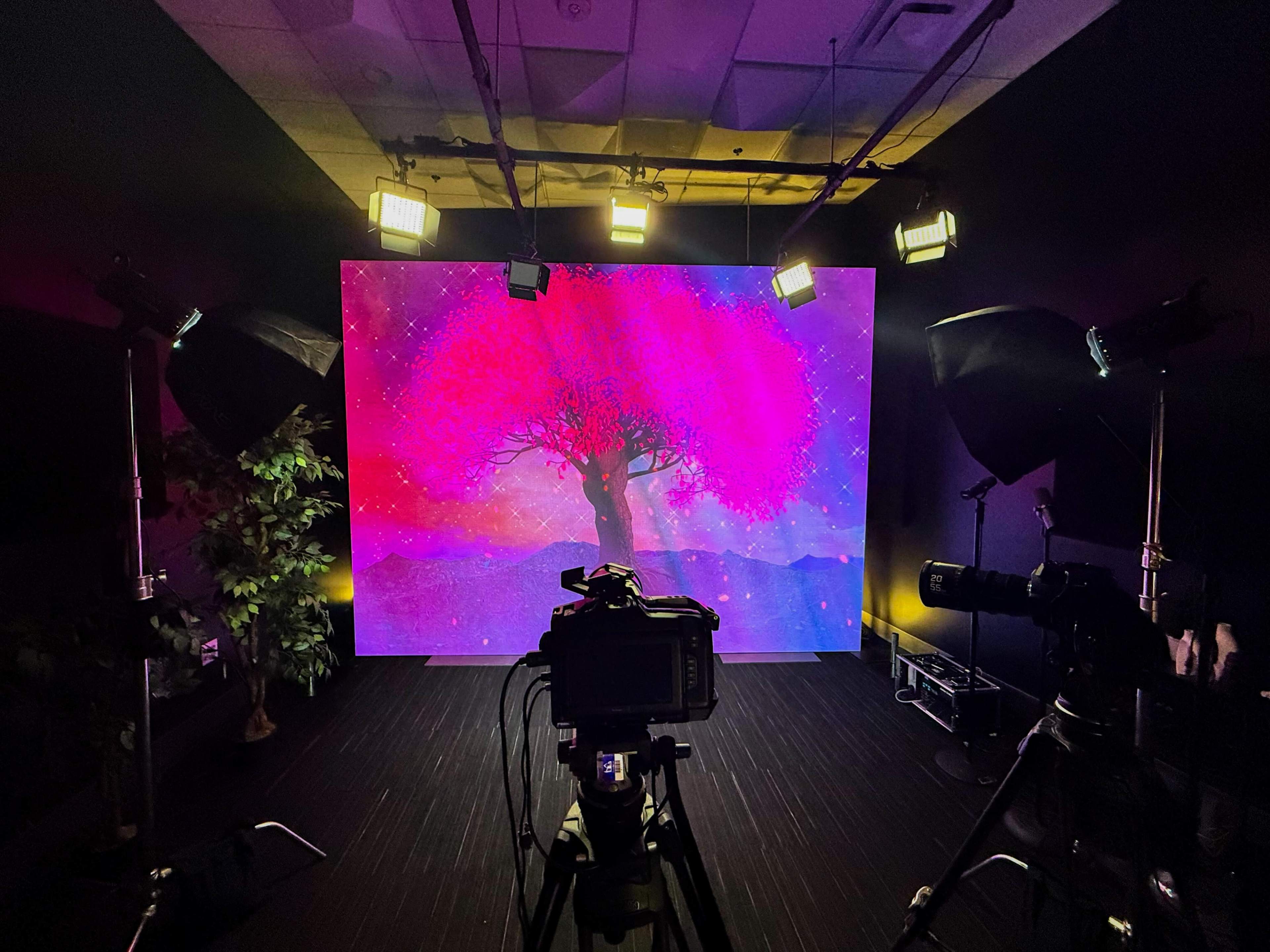 A camera is positioned in front of a brightly lit backdrop featuring a large, vibrant pink tree against a colorful, starry landscape.