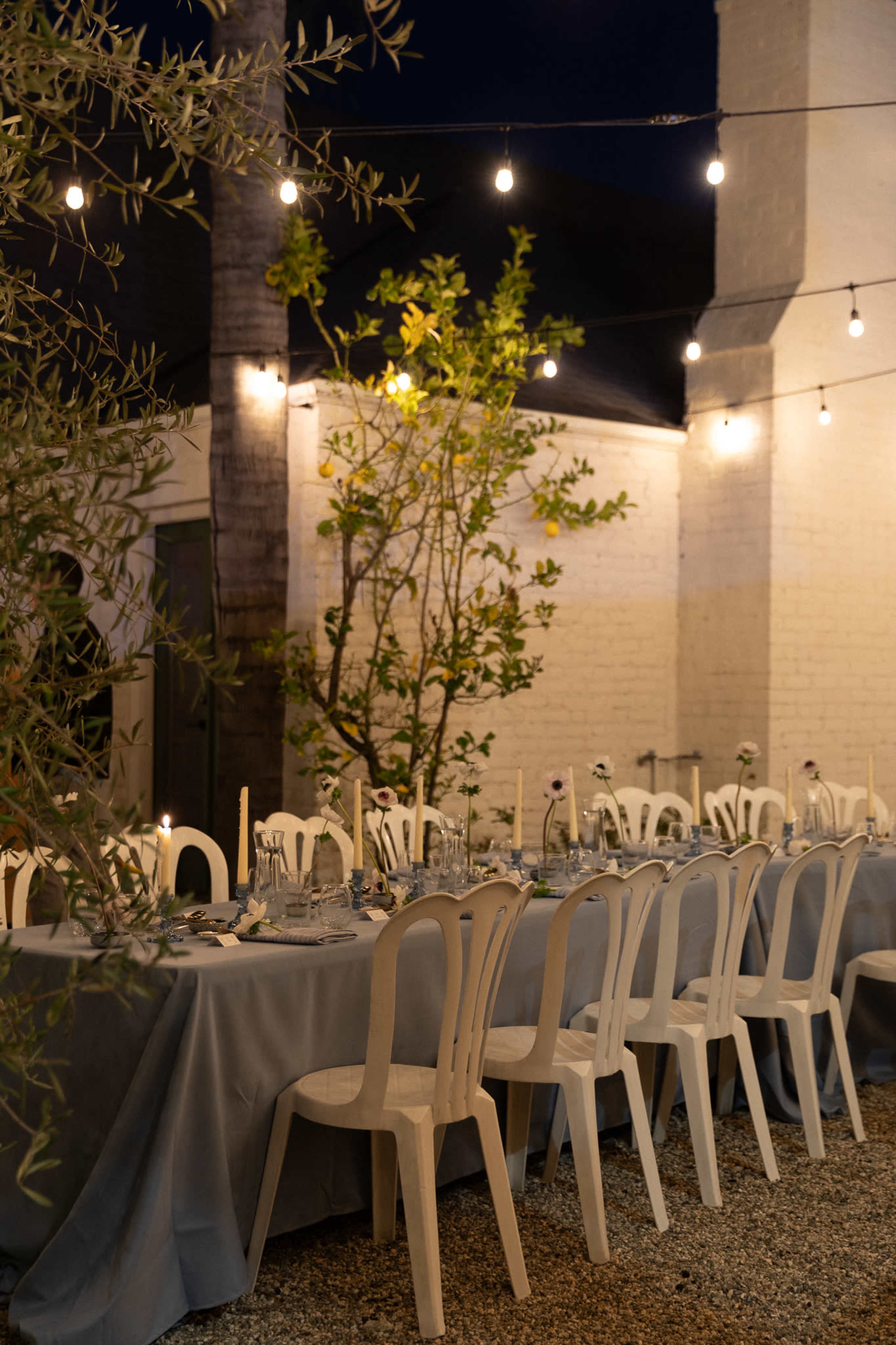 An outdoor dining setup features a long table adorned with plates and glassware, illuminated by string lights and surrounded by potted plants.