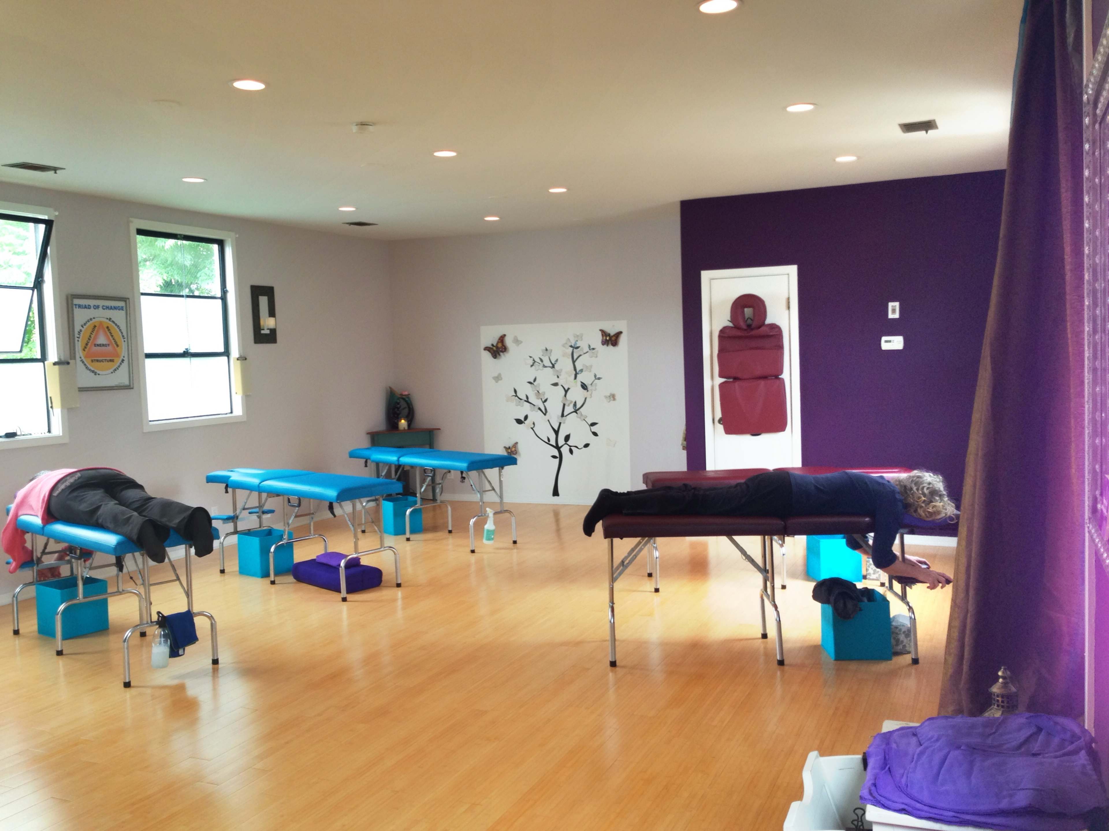 The image shows a tranquil massage therapy room equipped with massage tables, where two clients are positioned on the tables, and the walls feature calming decor.