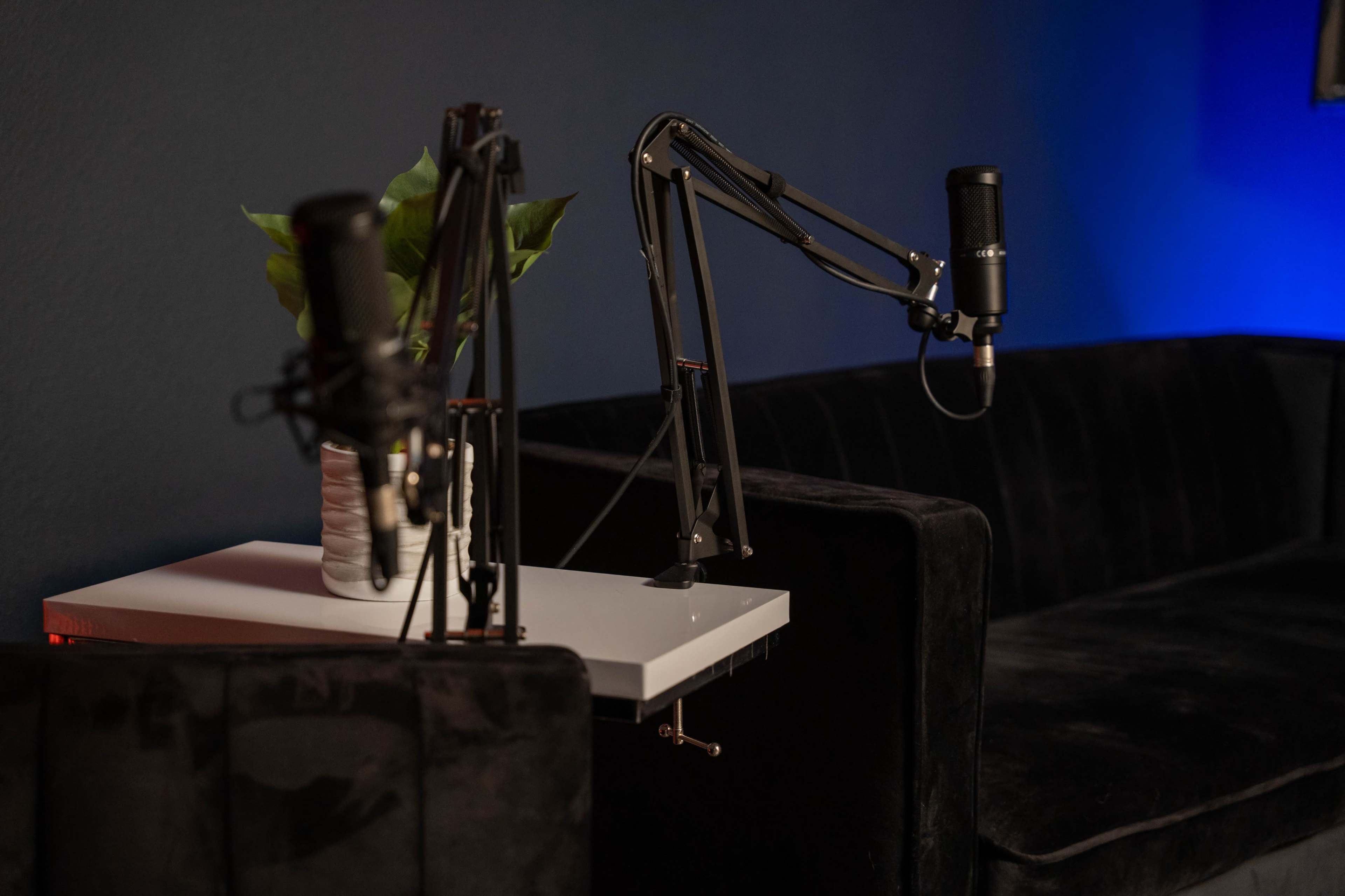 The image shows a black couch with two microphone stands attached to a small white table and a potted plant in a ceramic vase.