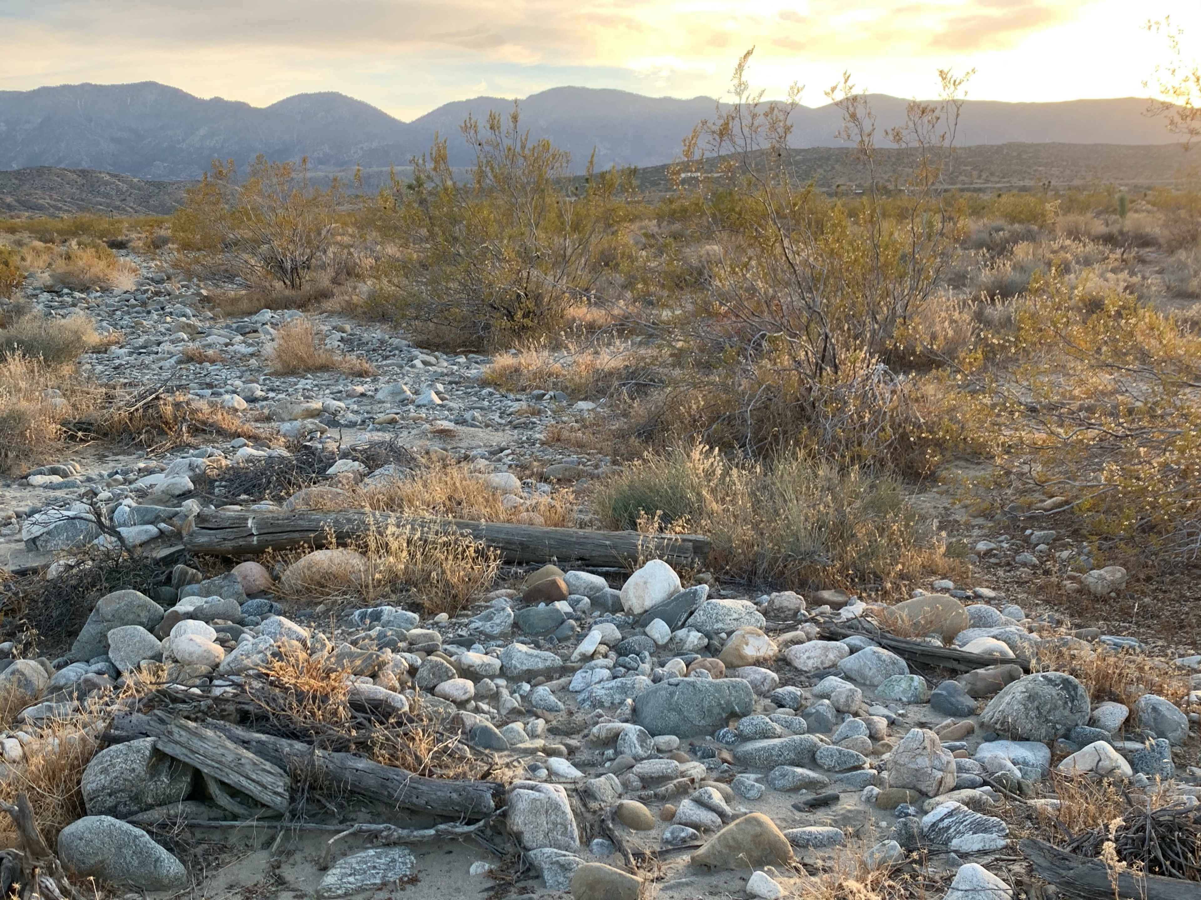 A rocky desert landscape with sparse vegetation and distant mountains under a sunset sky.