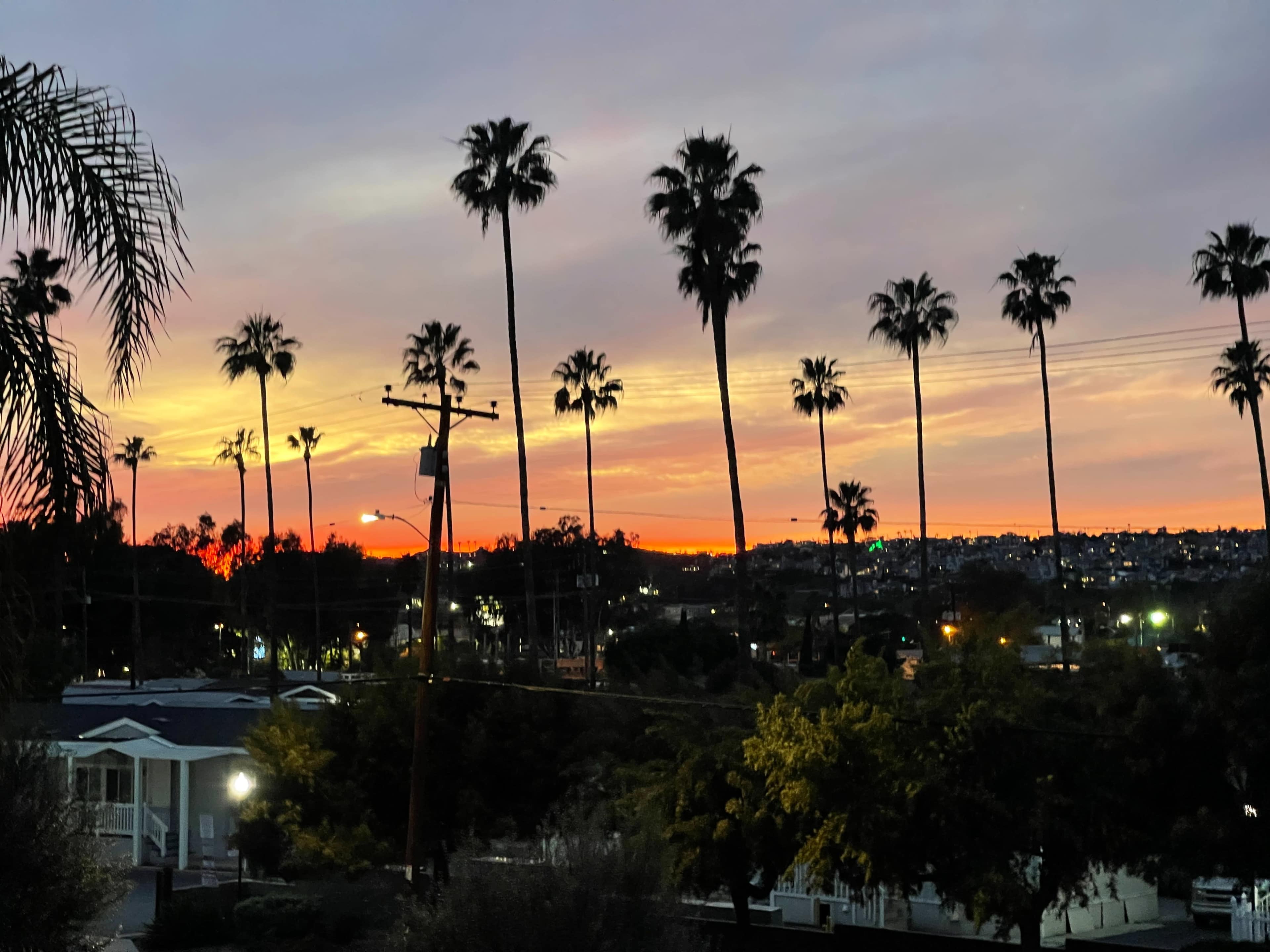 A sunset with a skyline backdrop, featuring tall palm trees silhouetted against vibrant clouds.