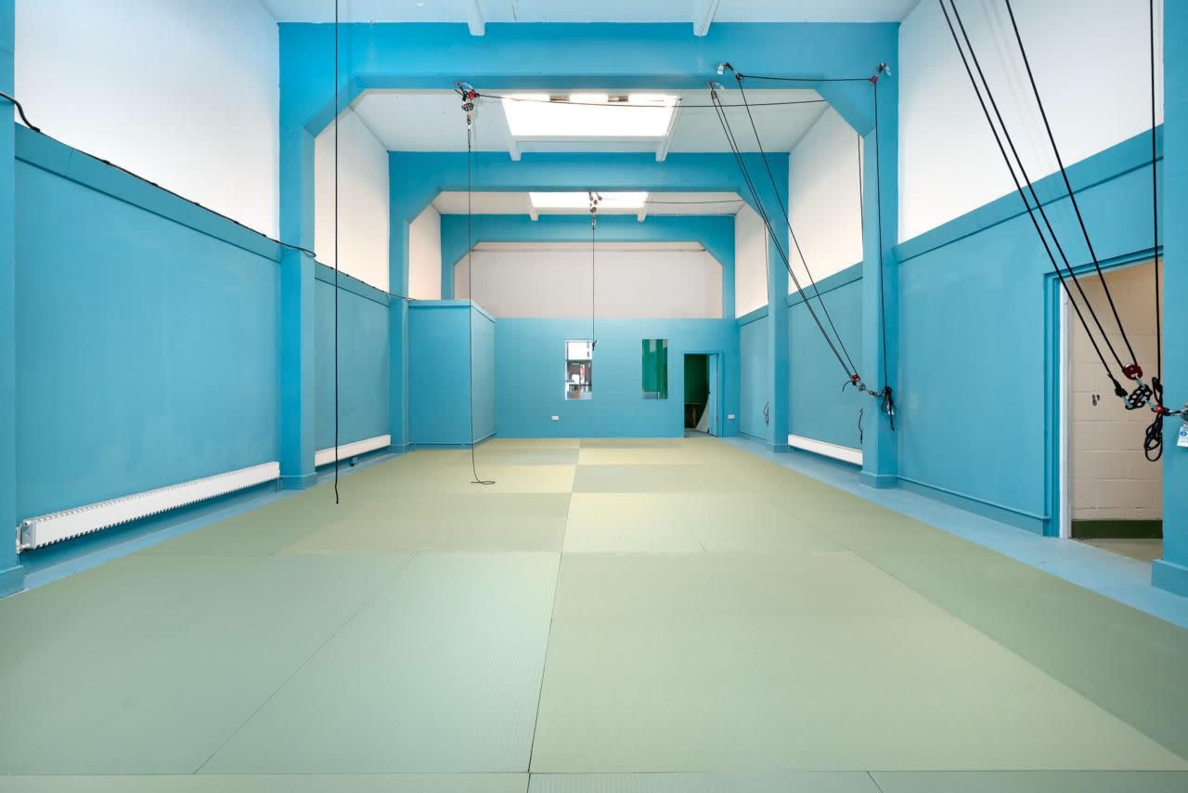 The image shows a spacious room with blue walls and a green mat covering the floor, equipped with overhead pulleys and cables.