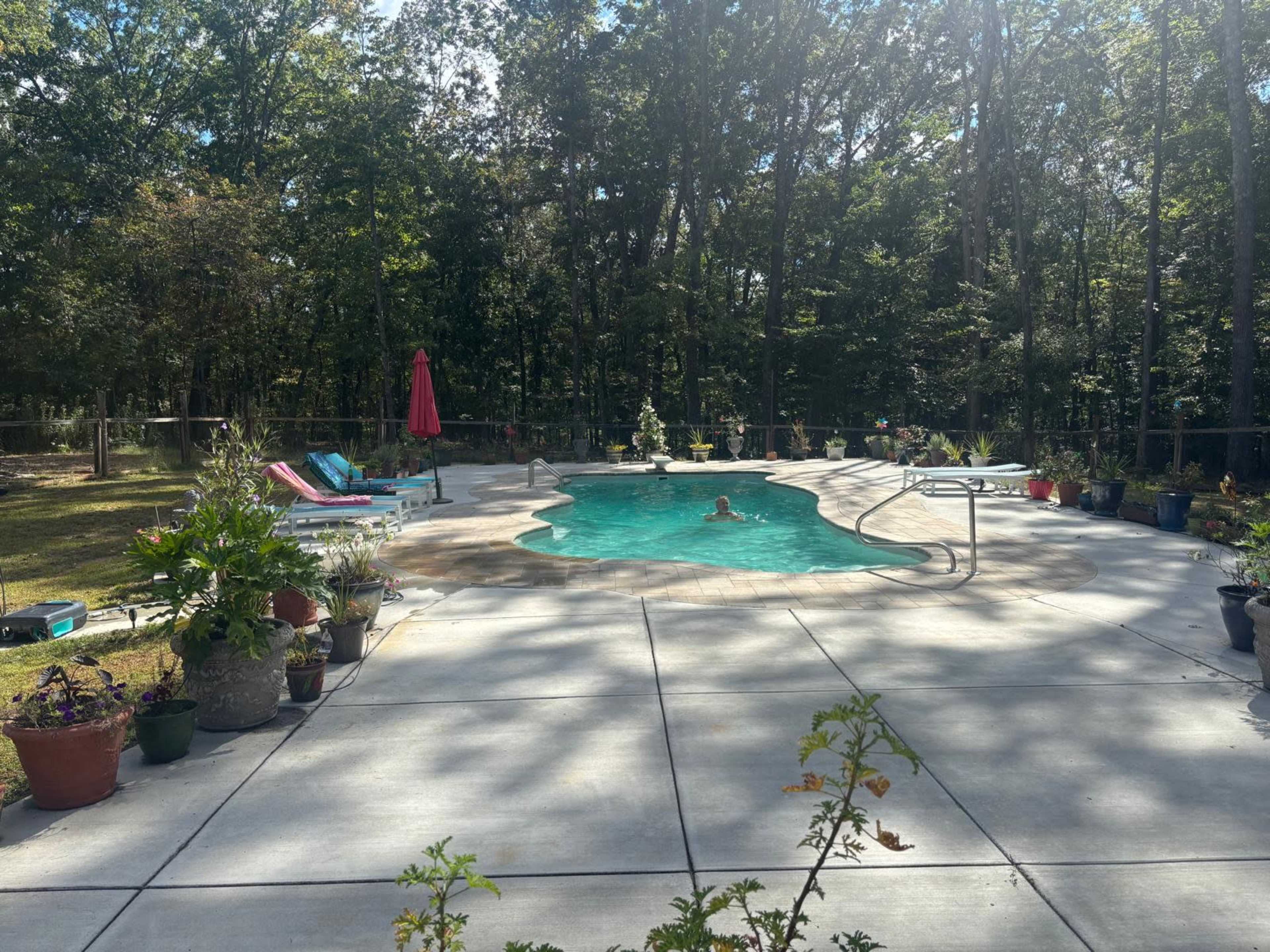 A swimming pool surrounded by a concrete patio is bordered by potted plants, with a person swimming in the water.