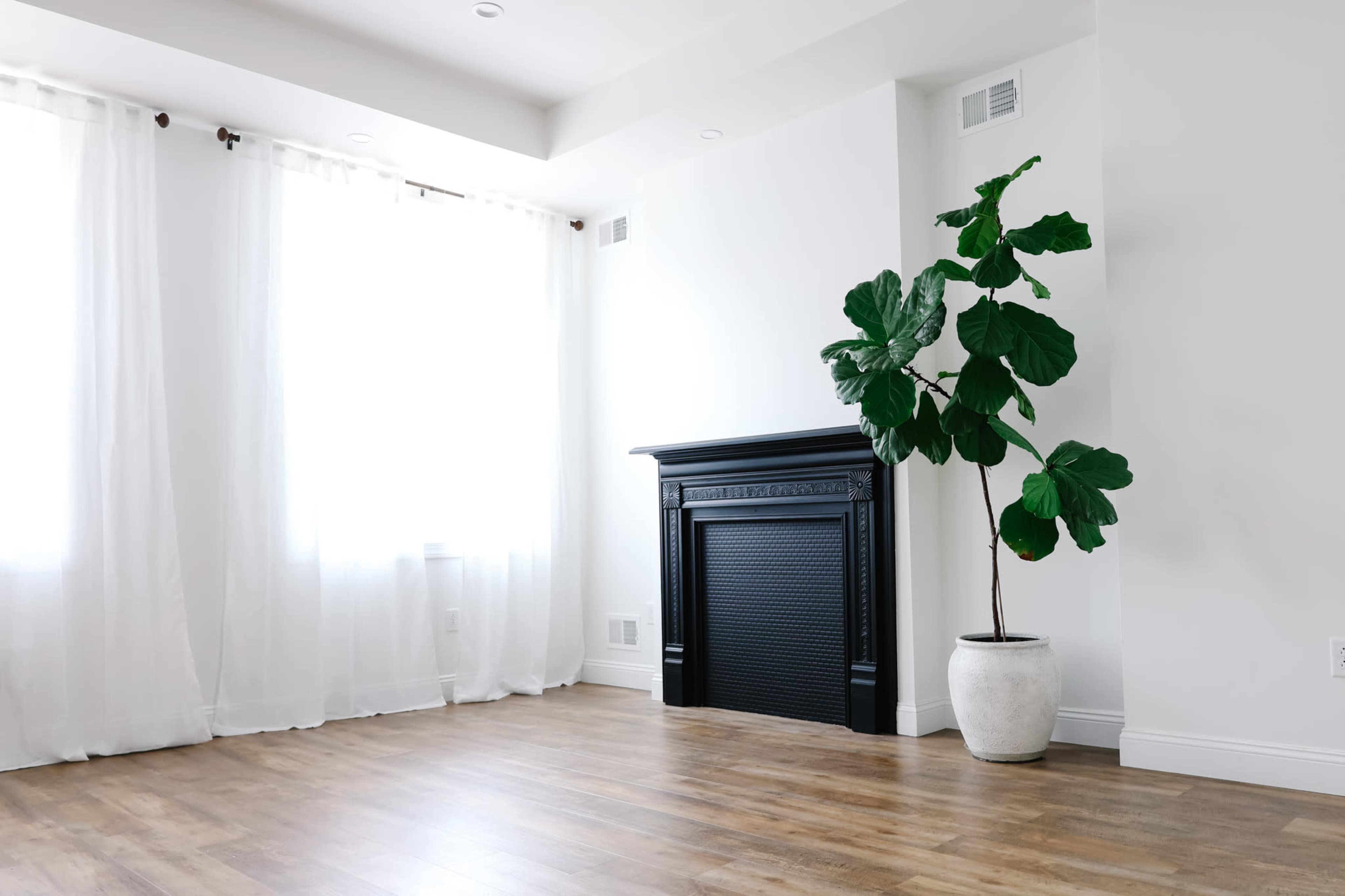 Natural Light Photo Studio and Micro-event and Meeting Space Image in Munhall, Munhall, PA