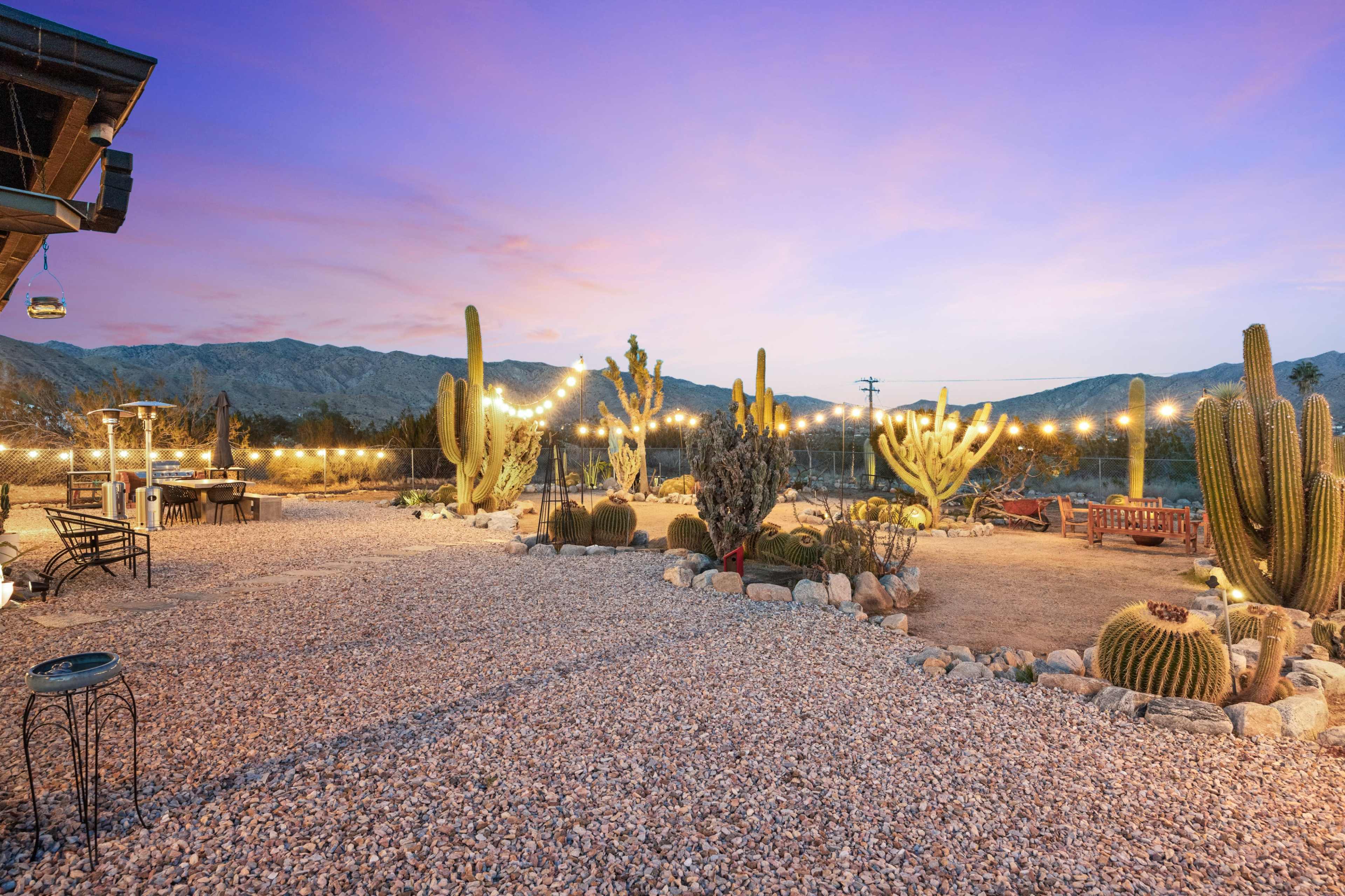 The image shows a desert landscape with various cacti, string lights overhead, and mountains in the background during twilight.