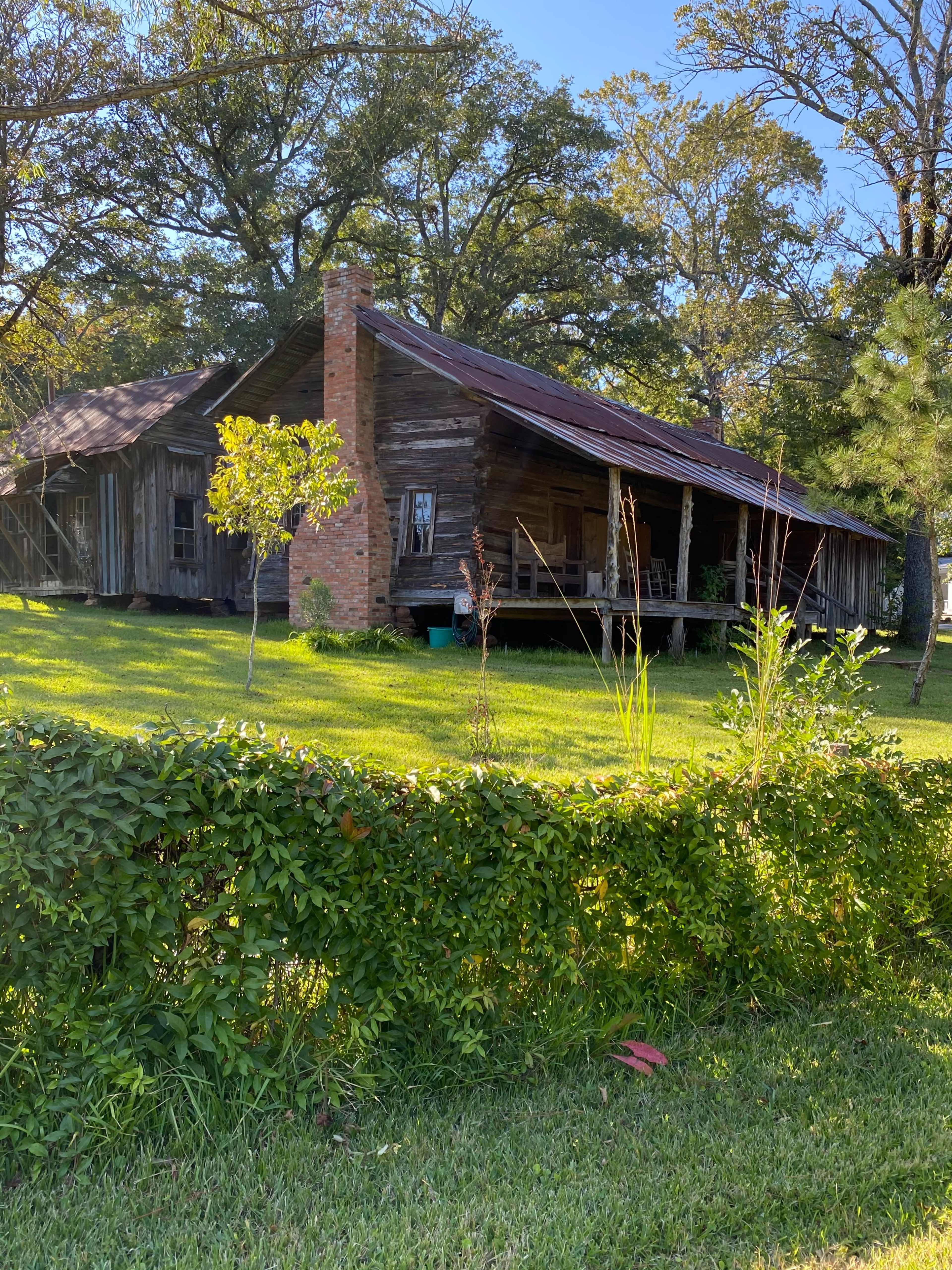 A weathered wooden cabin with a rusty roof is nestled among trees, surrounded by lush green grass and foliage.