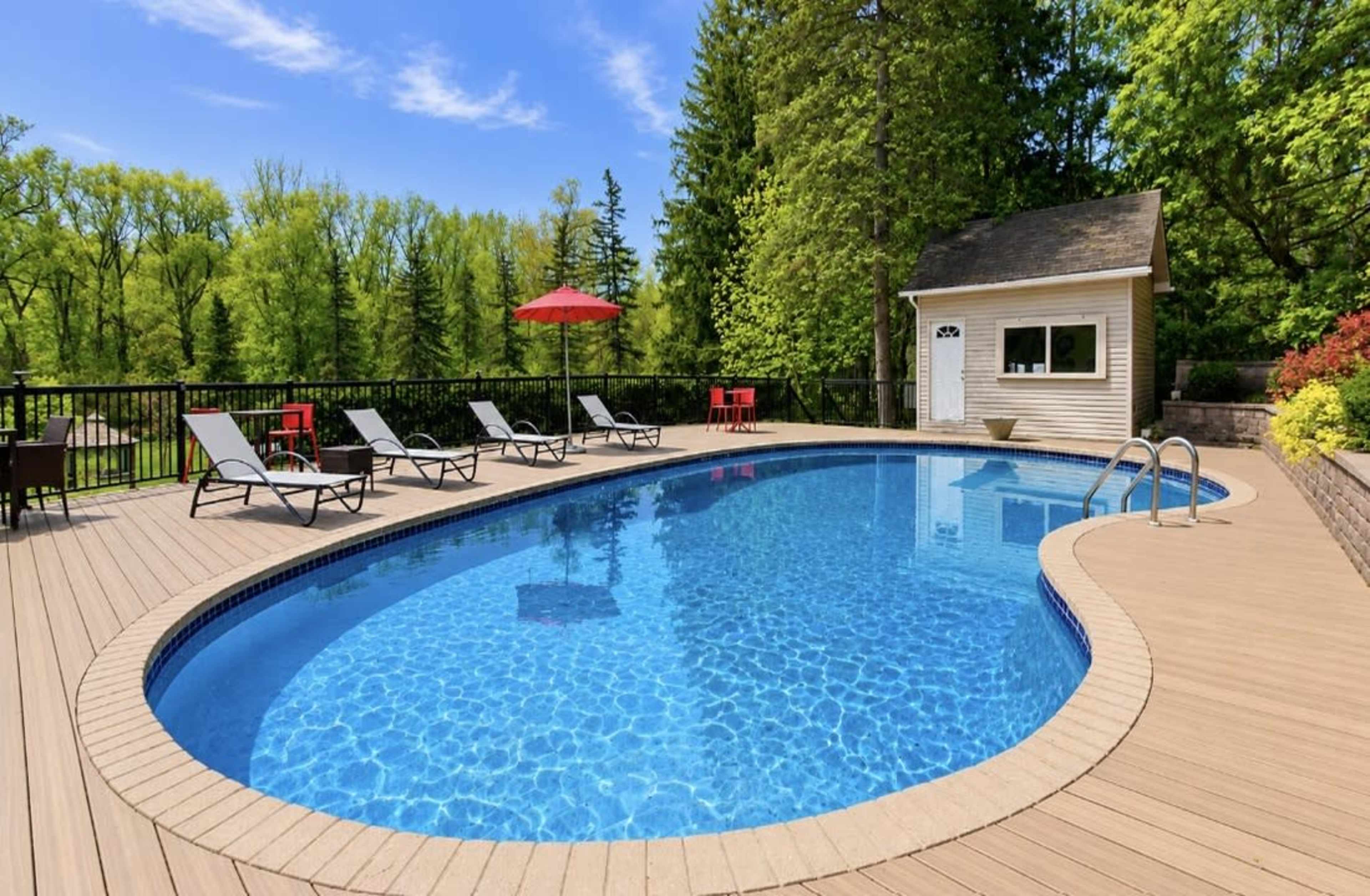 A swimming pool is surrounded by lounge chairs and a small shed in a green backyard with trees.
