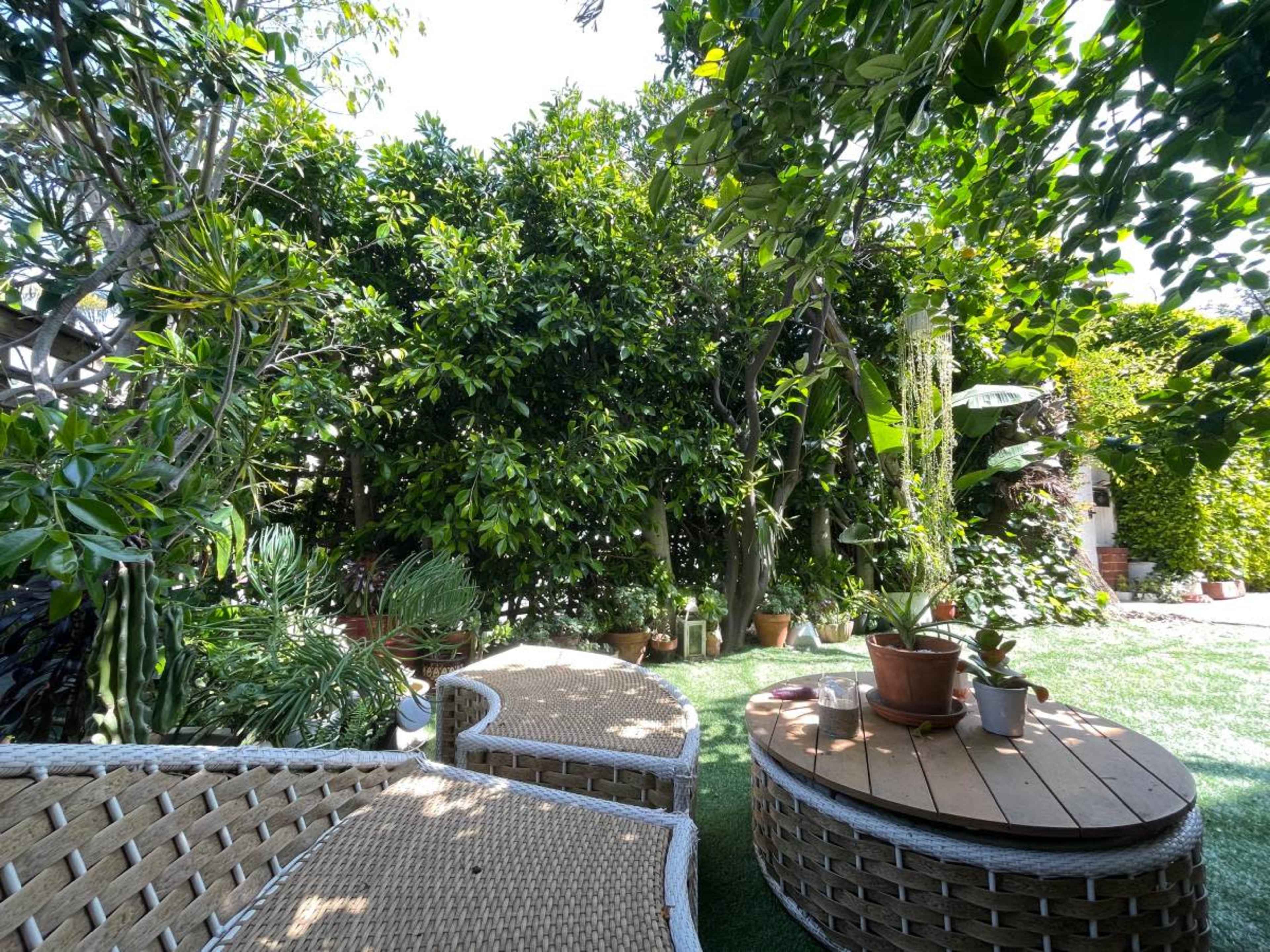 A lush garden space featuring woven seating areas surrounded by a variety of plants and greenery.