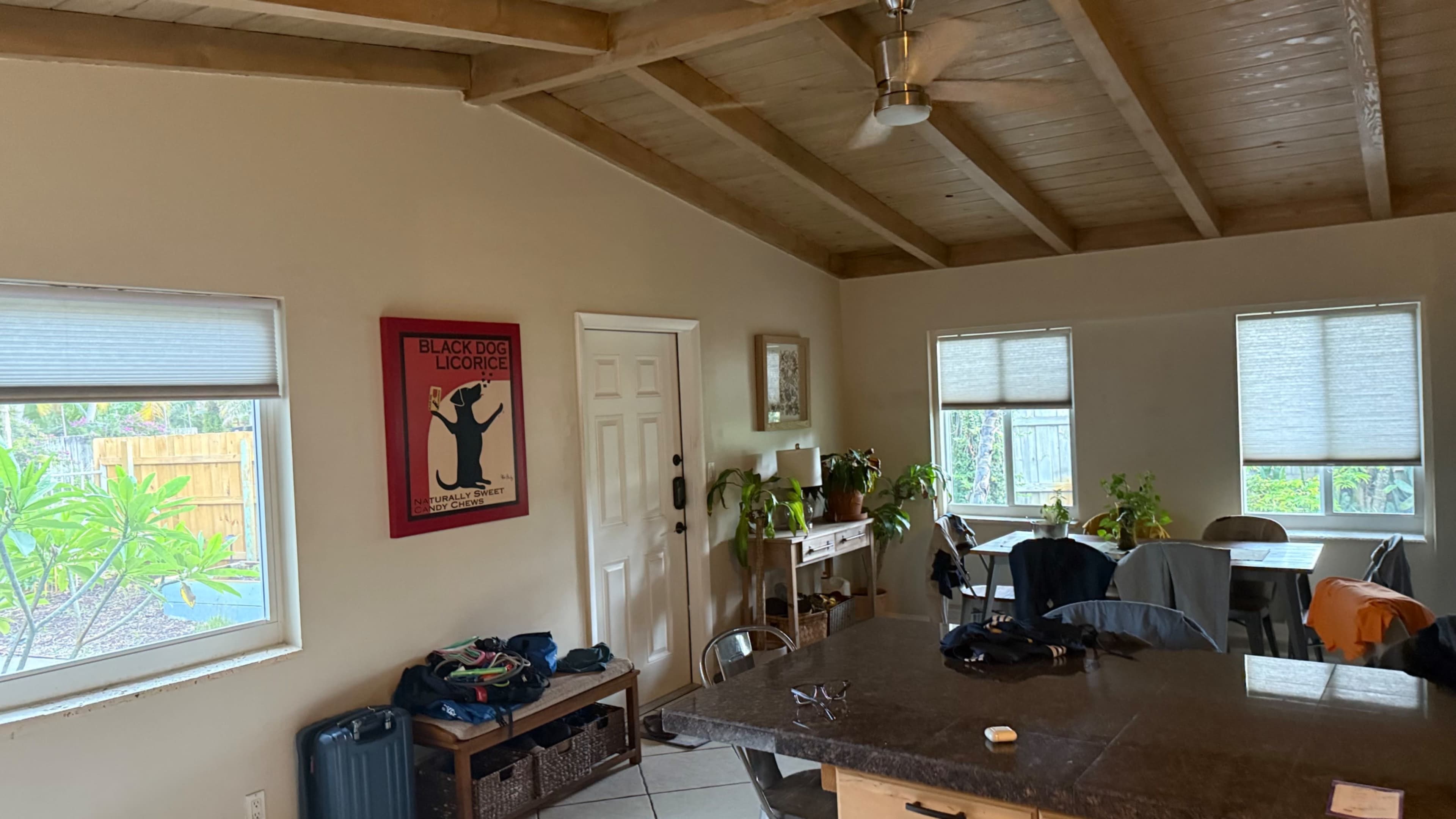 The image shows a spacious, sunlit room with a wooden ceiling, featuring a kitchen island, a door, several windows, and a dining area with plants and furniture.
