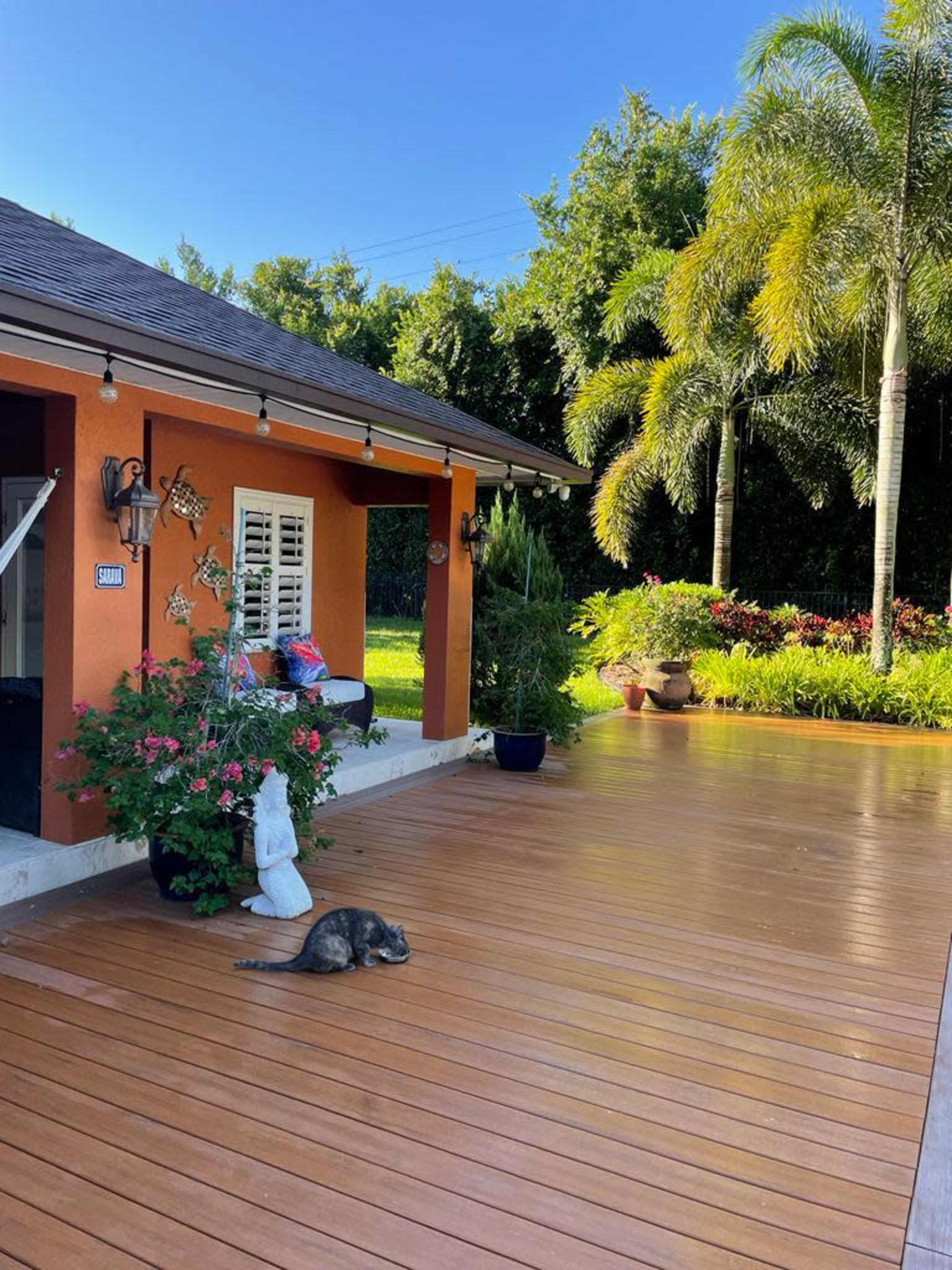 A wooden deck features a cat lying down near a potted plant and a statue, with a house and palm trees in the background.