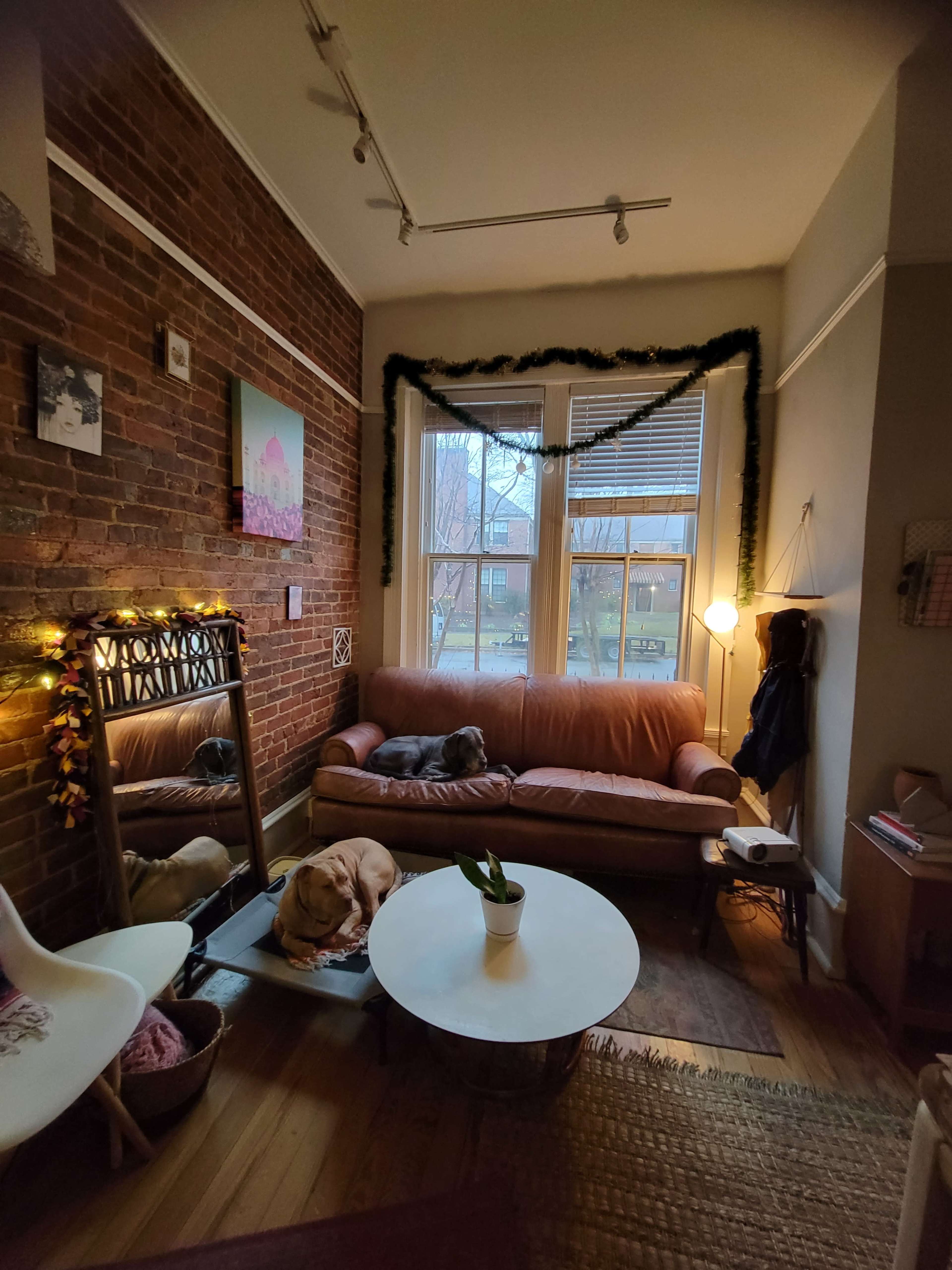 A cozy living room with a brick wall, a pink sofa, a coffee table, a large mirror, and two dogs resting on the floor near the window.