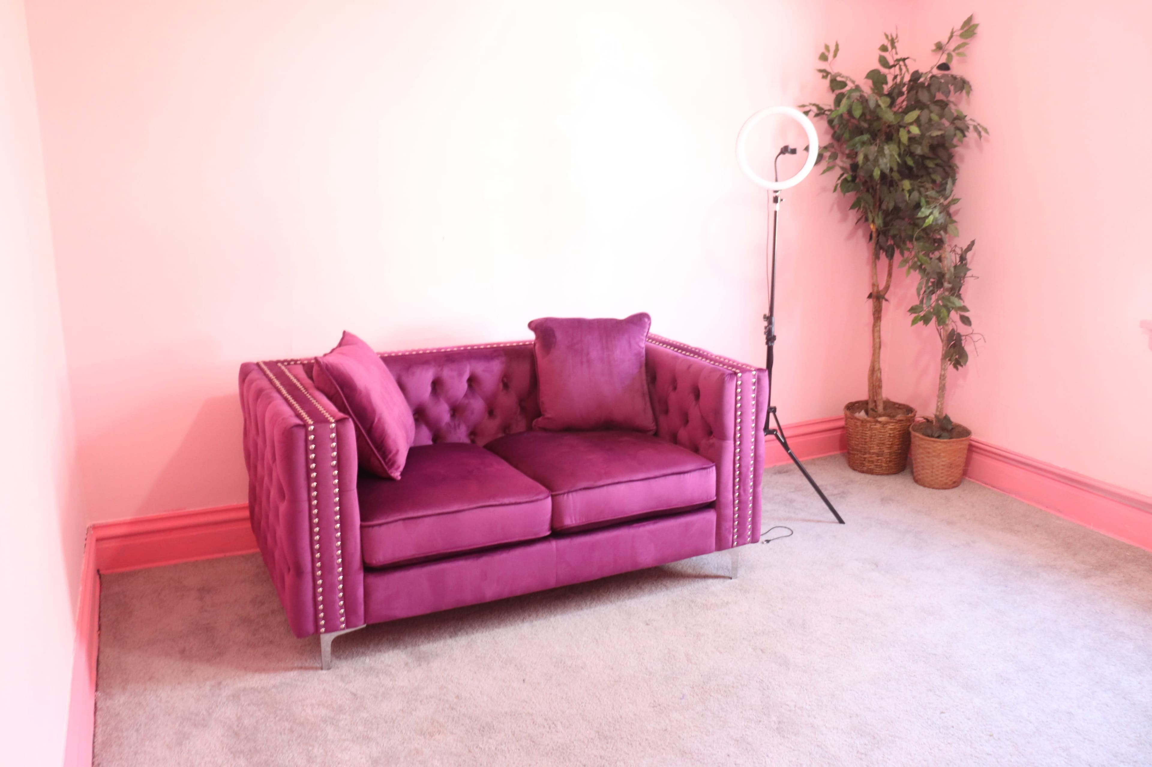 A purple tufted couch sits on a light gray carpet in a room with pink walls and a plant in a corner.