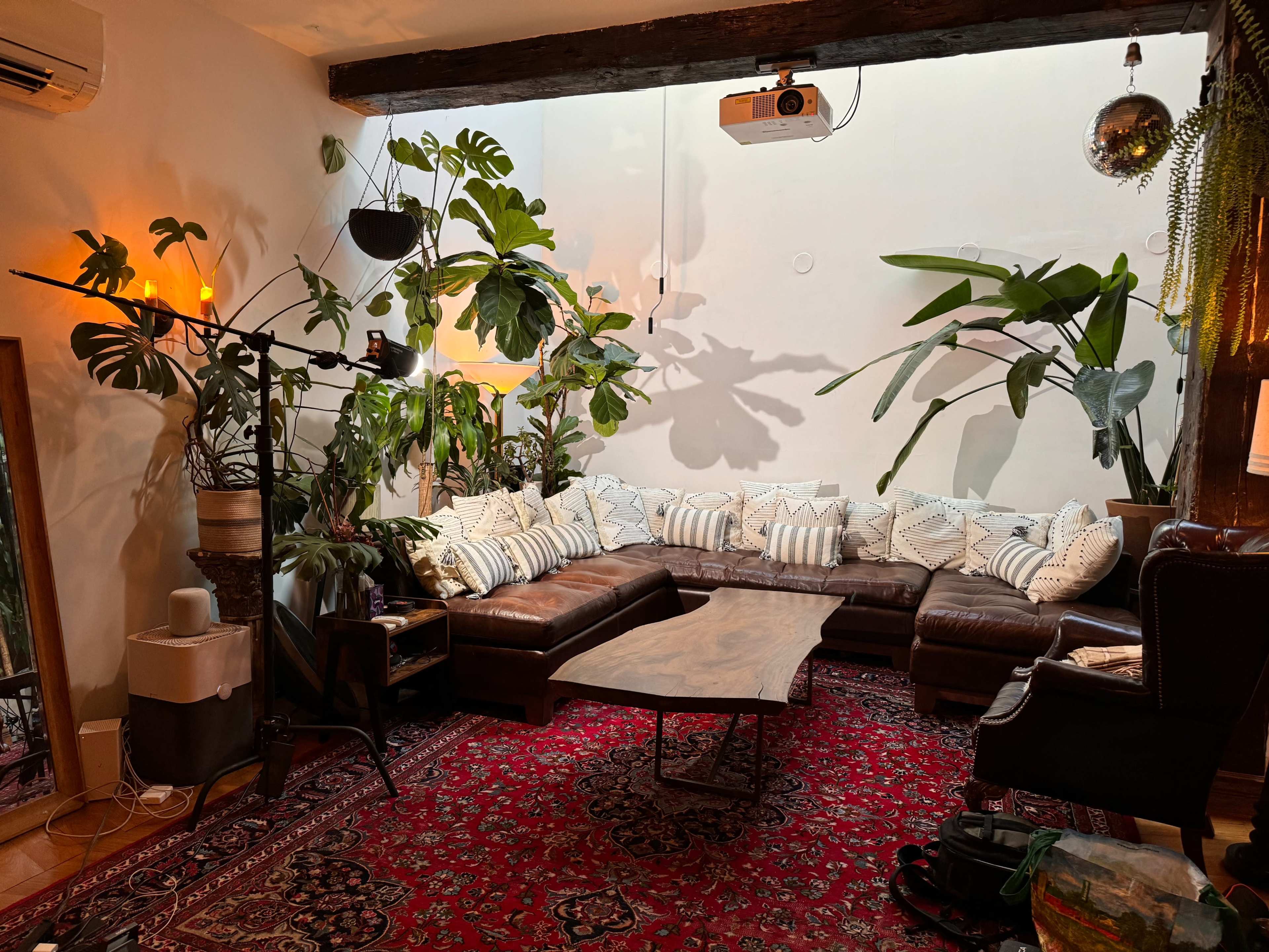 A brown sectional couch with striped pillows is arranged around a wooden coffee table in a room filled with large potted plants and decorated with a vibrant area rug.