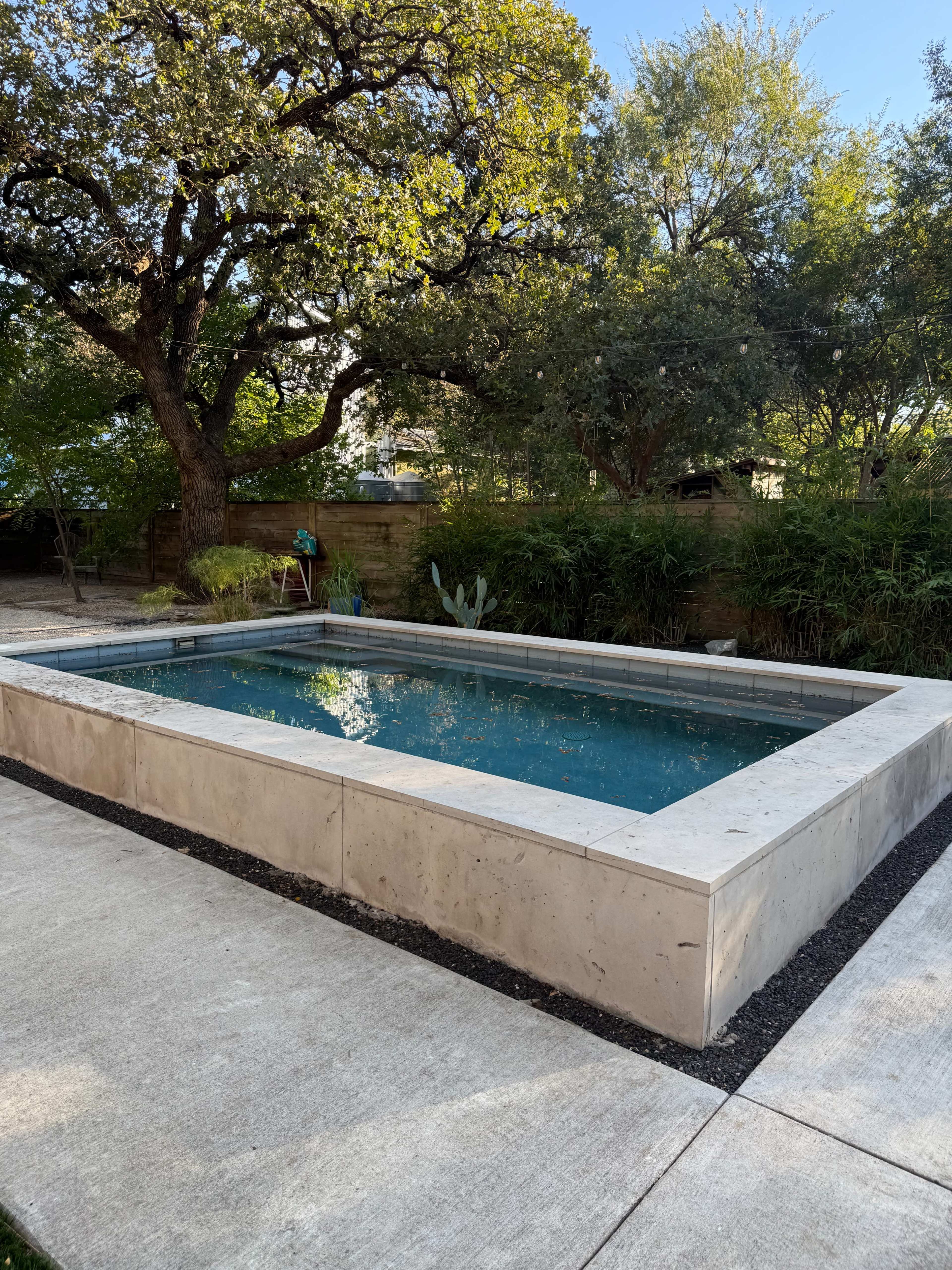 Modern backyard pool oasis Image in Cherrywood, Austin, TX