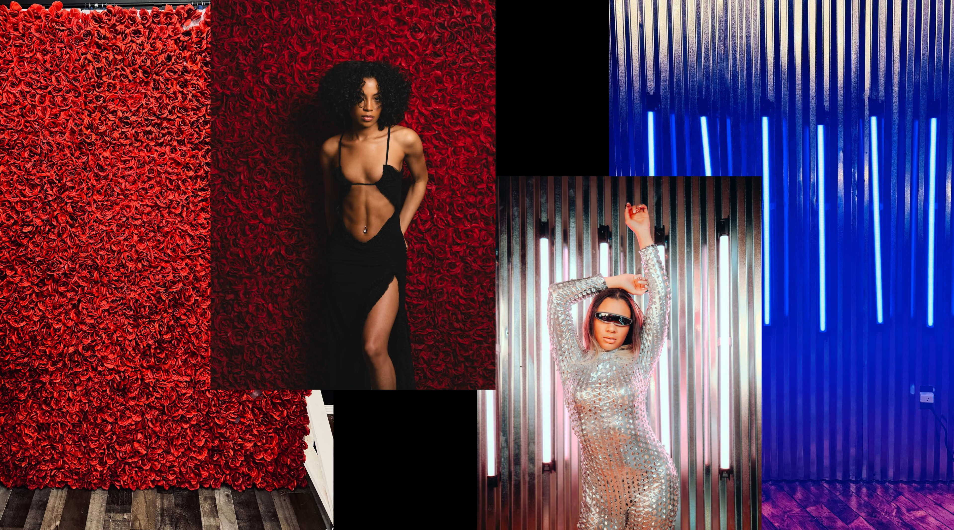 4 foot Tube Light Wall & Flower Wall Studio for Music Videos And Photos Image in Sunset Park, brooklyn, NY