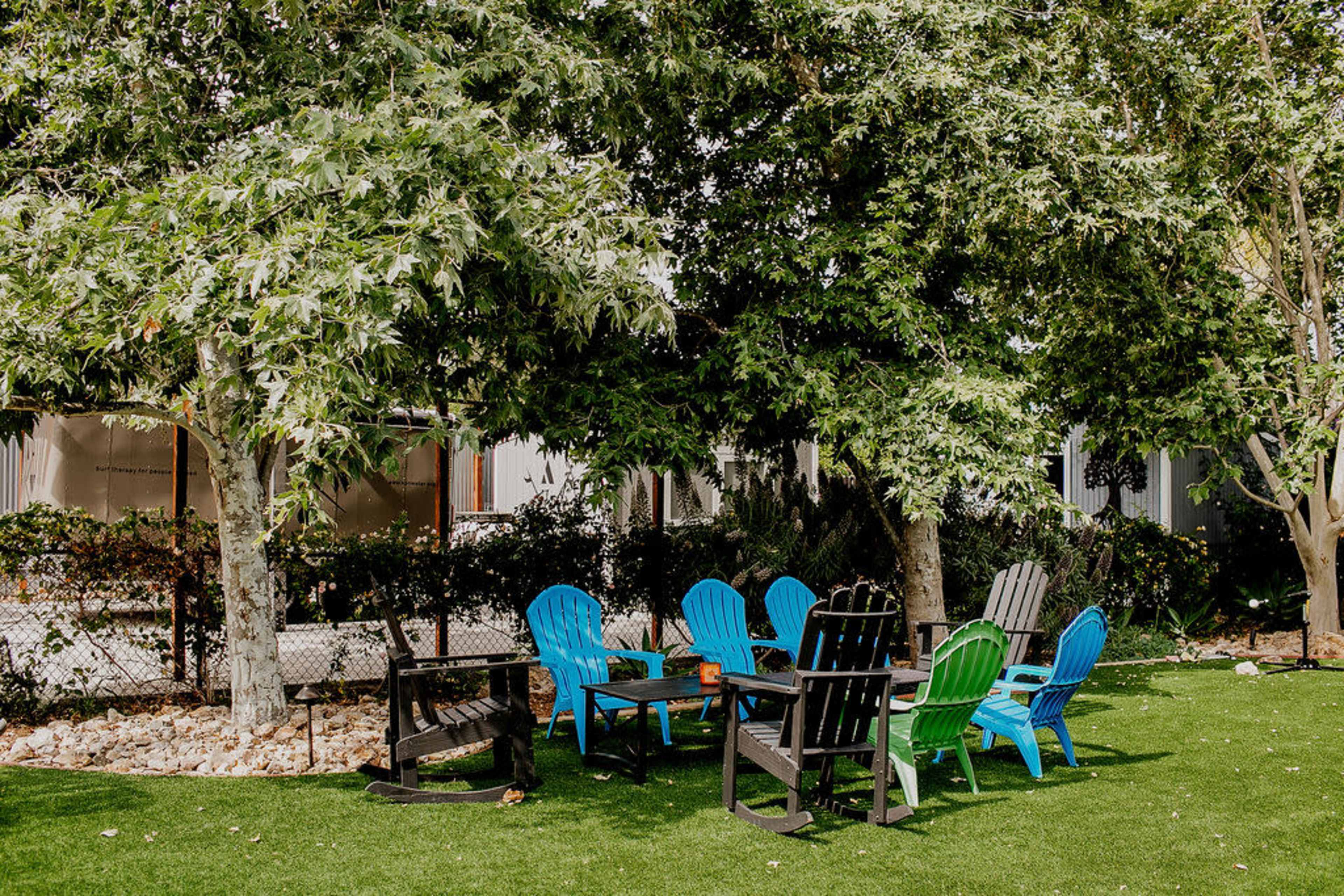 A circular arrangement of brightly colored chairs is set on a grassy area beneath two trees.