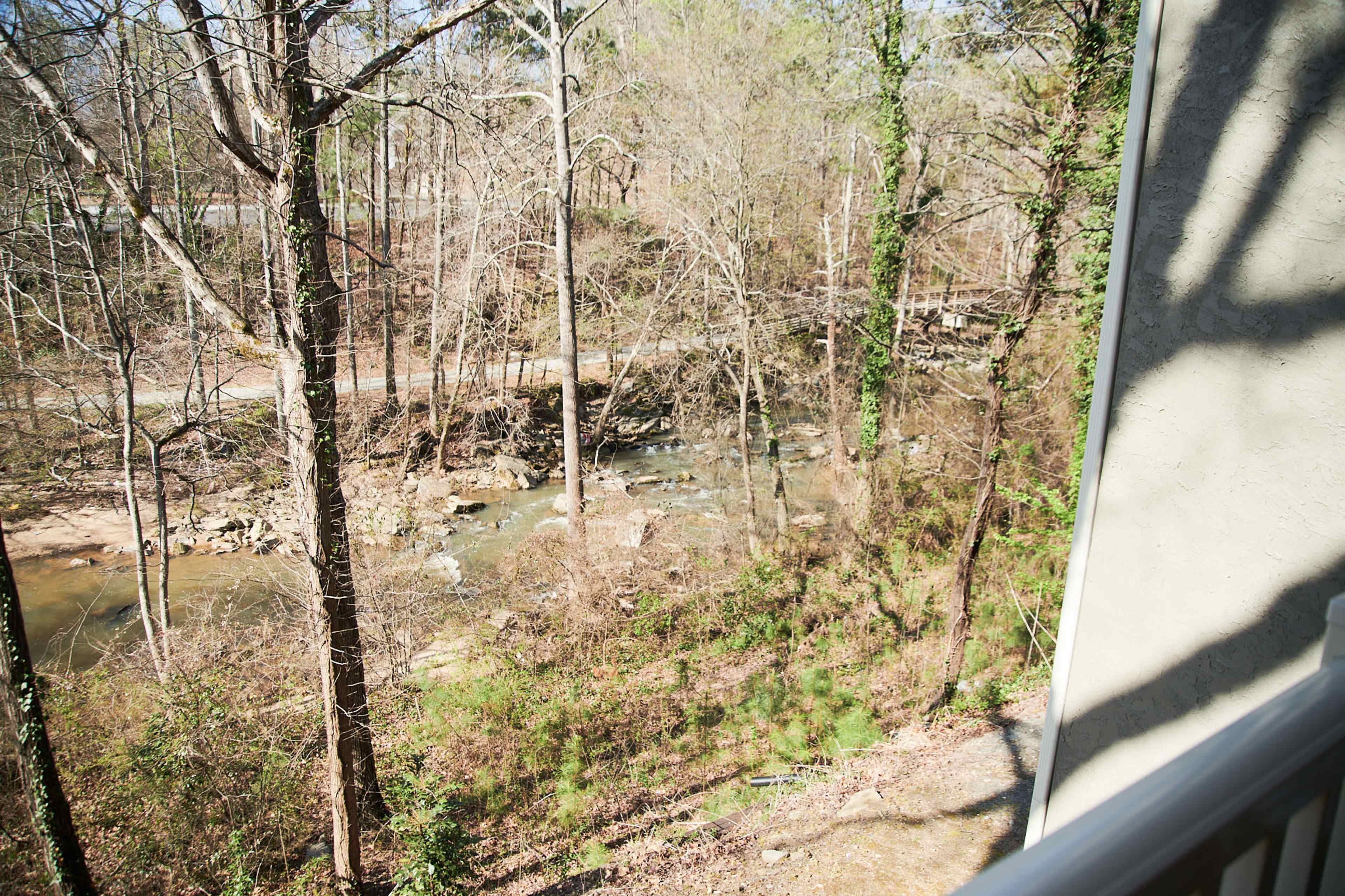 A wooded area beside a small creek with rocks along the water's edge, viewed from a balcony.