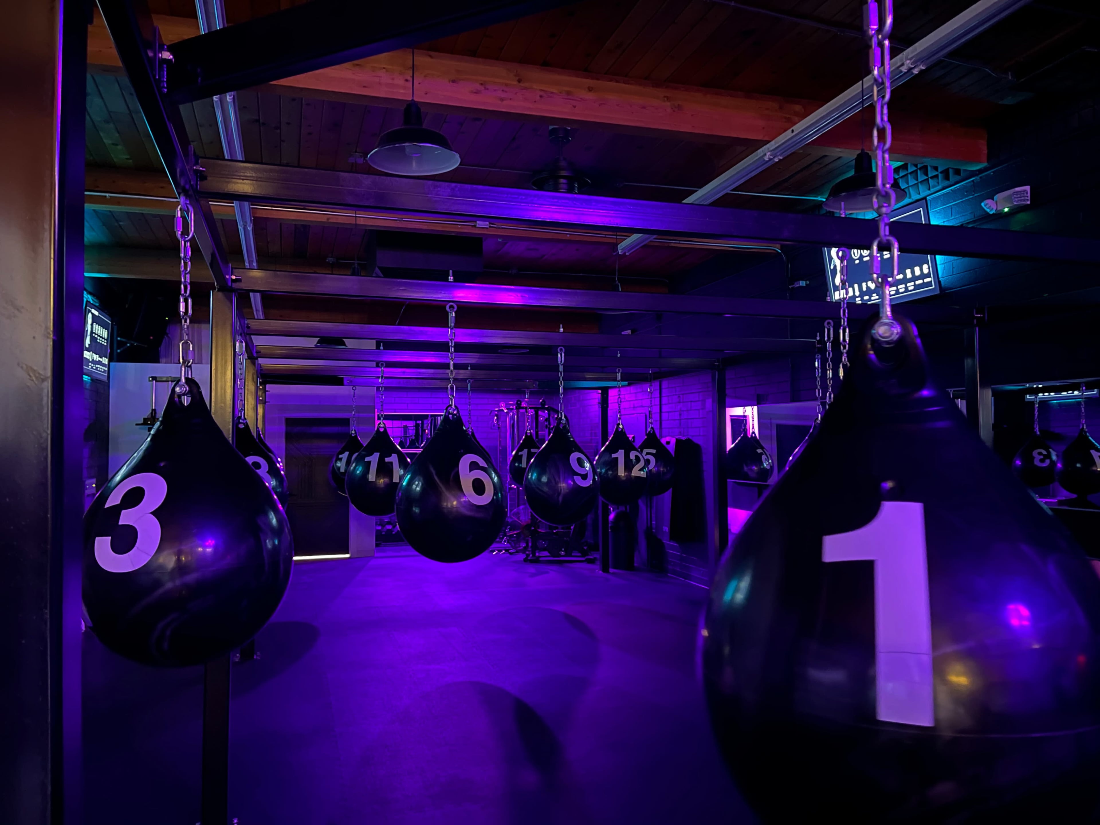 The image shows a gym or fitness studio with heavy punching bags hanging from chains, numbered from 1 to 12, under purple lighting.
