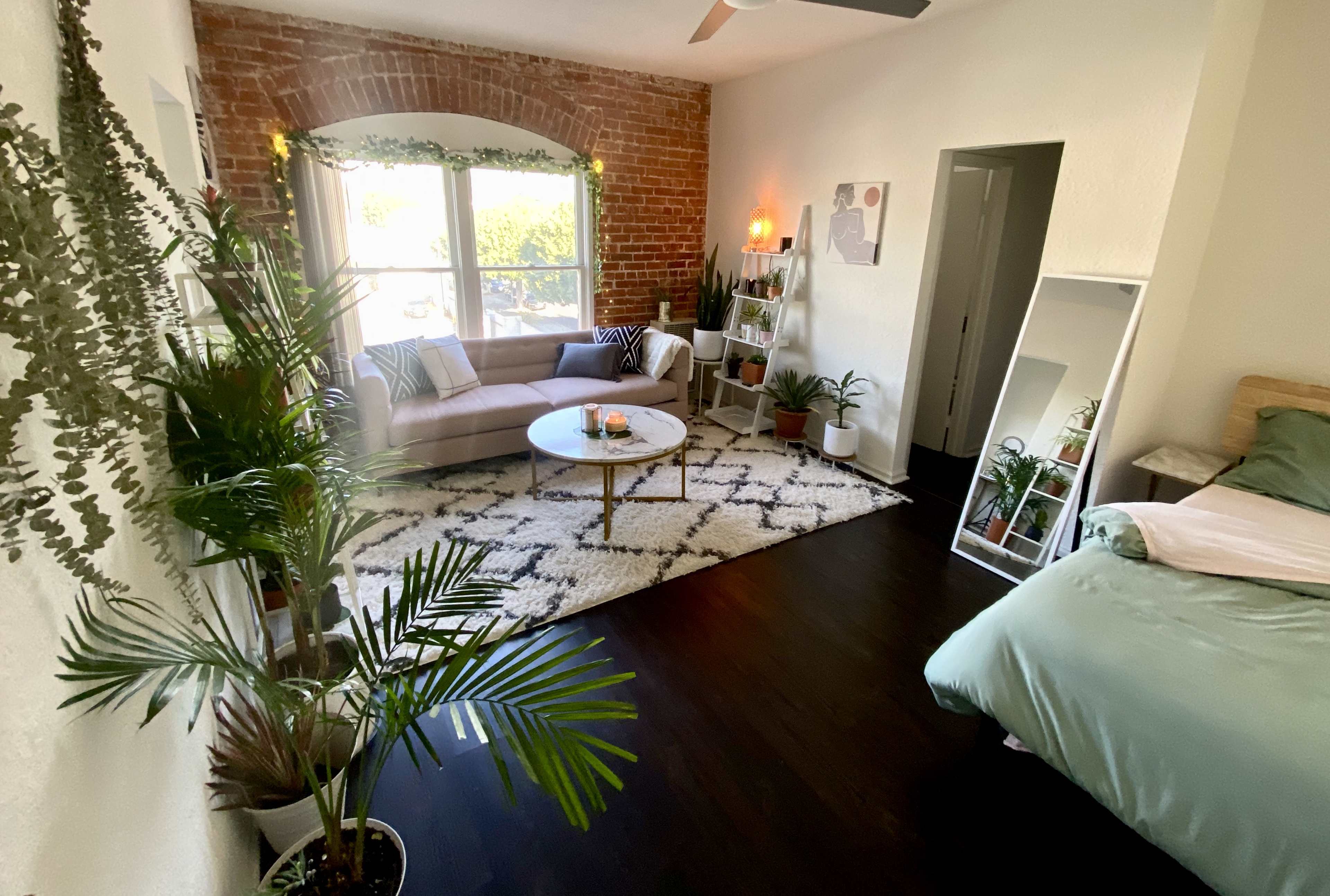A cozy living space featuring a beige sofa, a round coffee table on a patterned rug, indoor plants, and a bedroom area with a green bedspread visible in the corner.