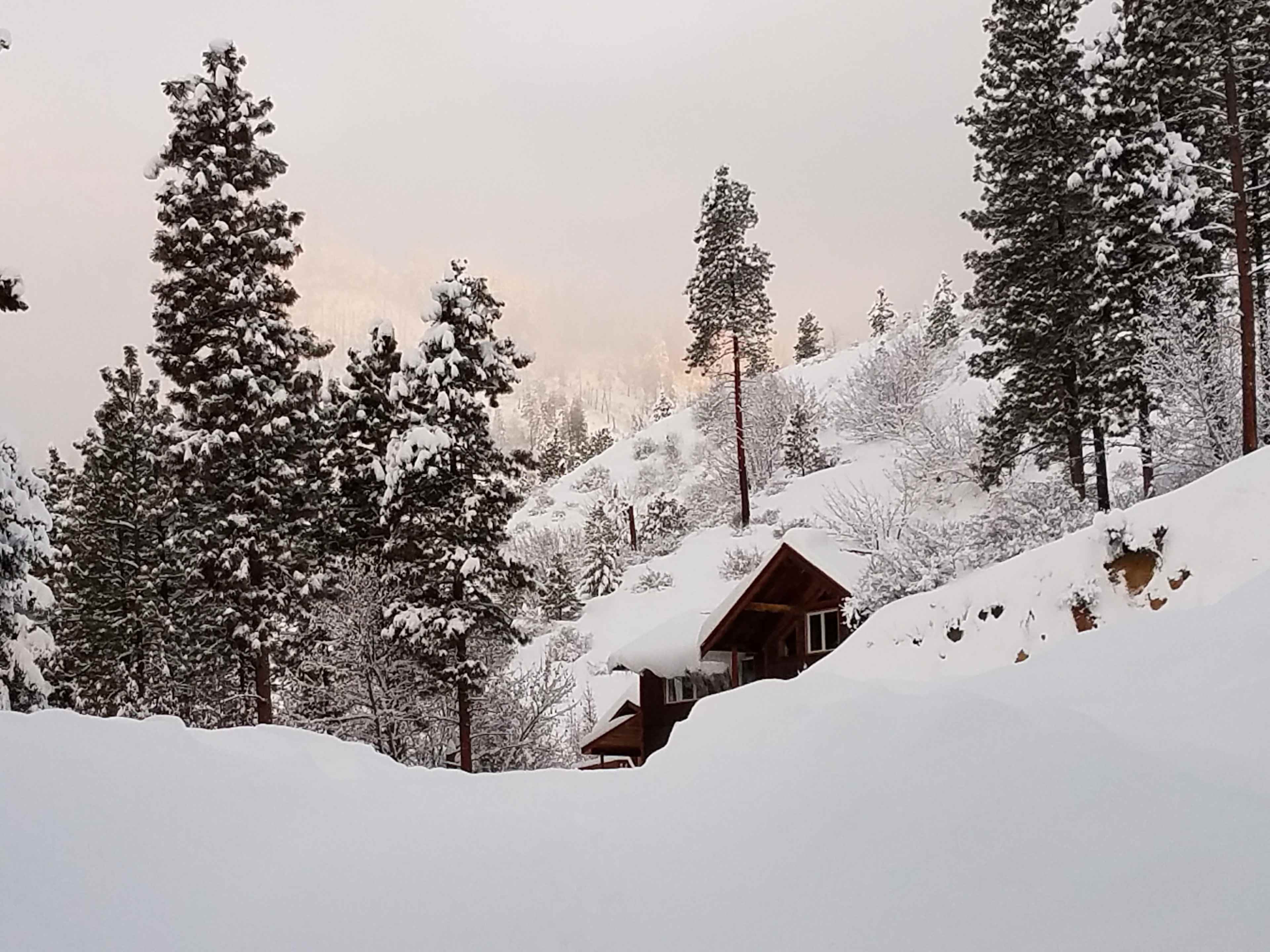 A snow-covered cabin is nestled among tall evergreen trees in a mountainous landscape.