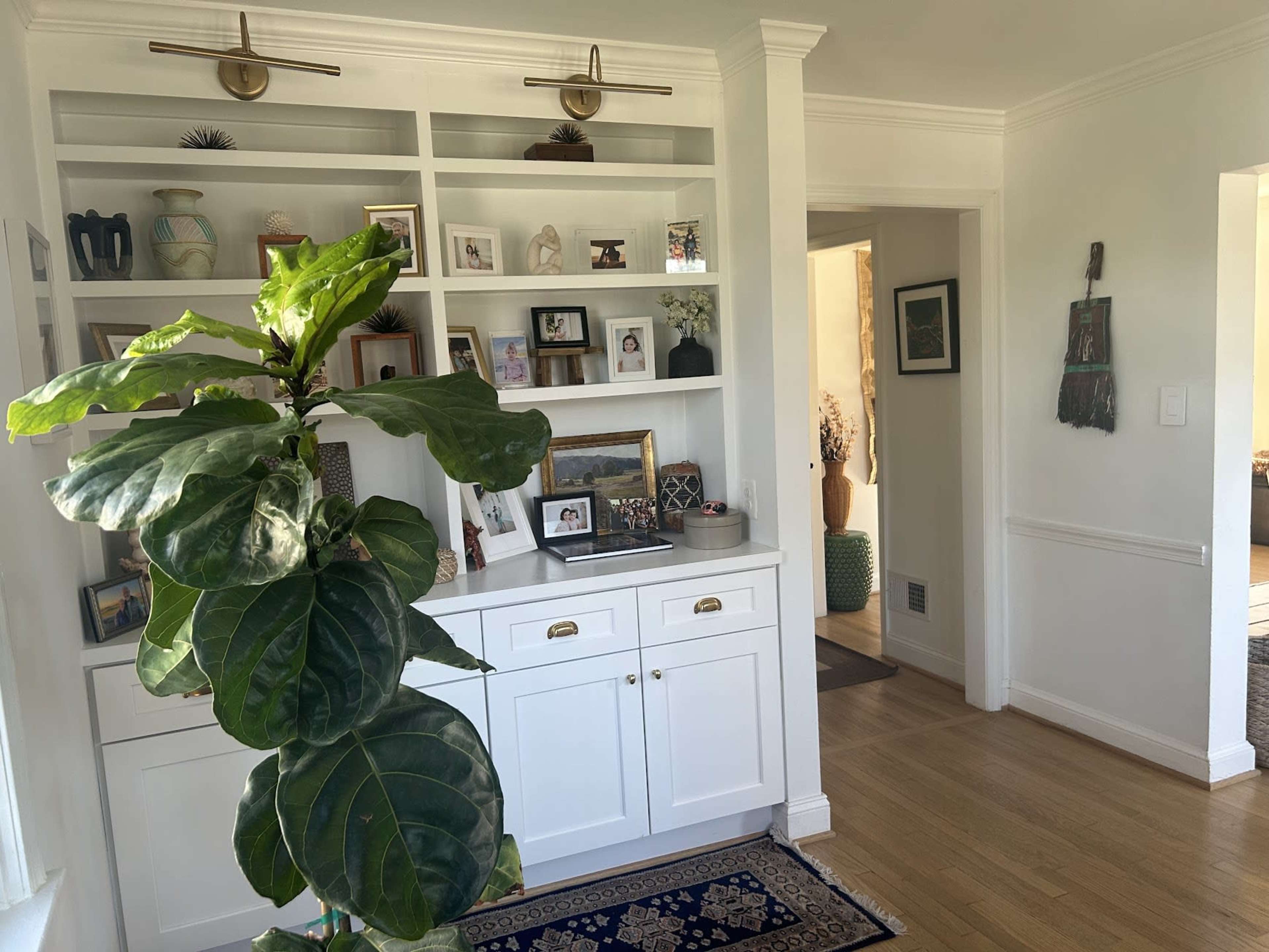 A well-organized, light-filled entryway features white built-in shelves displaying framed photos and decorative items, with a large potted plant in the foreground.