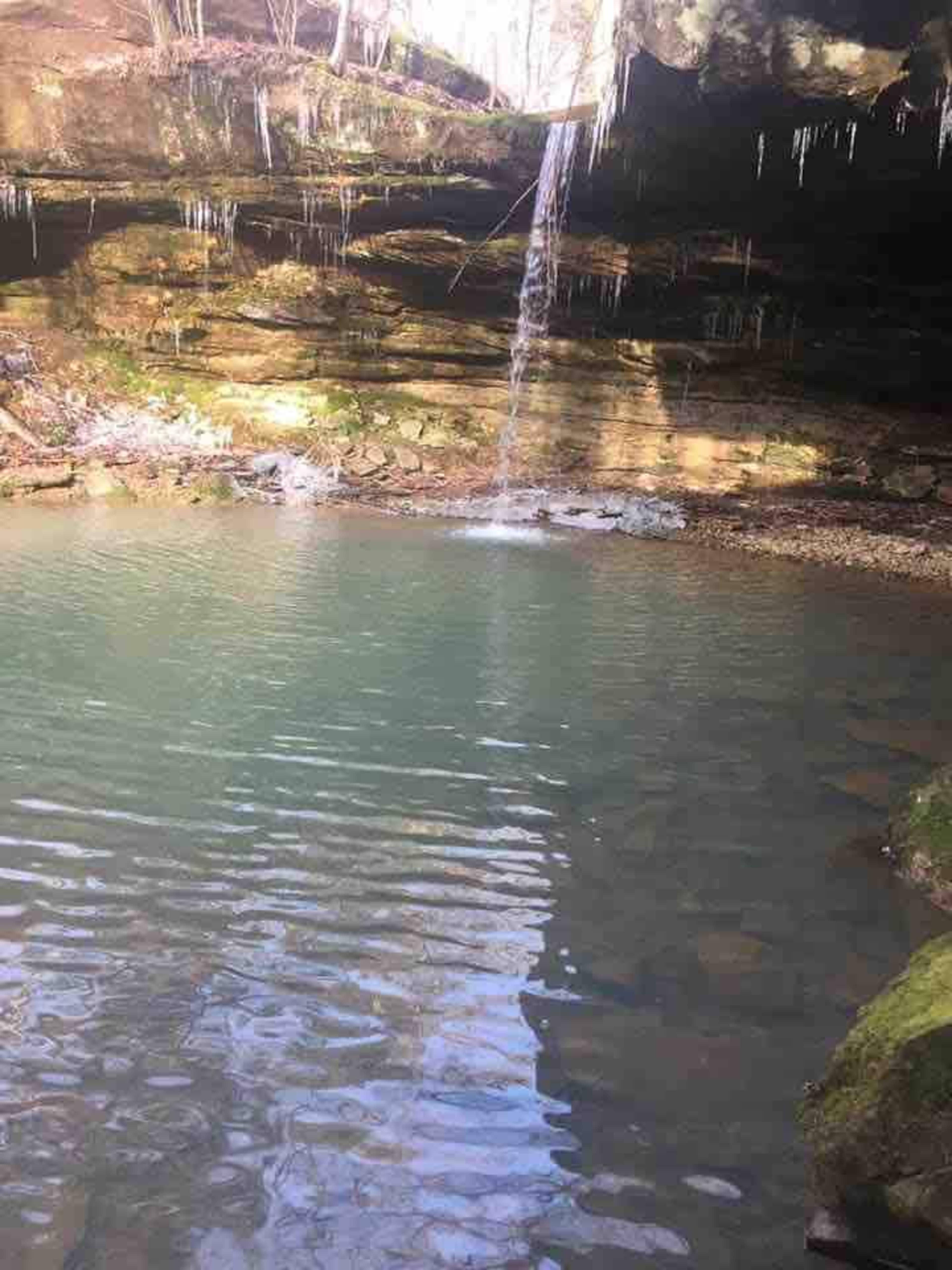 A small waterfall flows over rocky cliffs into a clear, still pool surrounded by mossy stones.