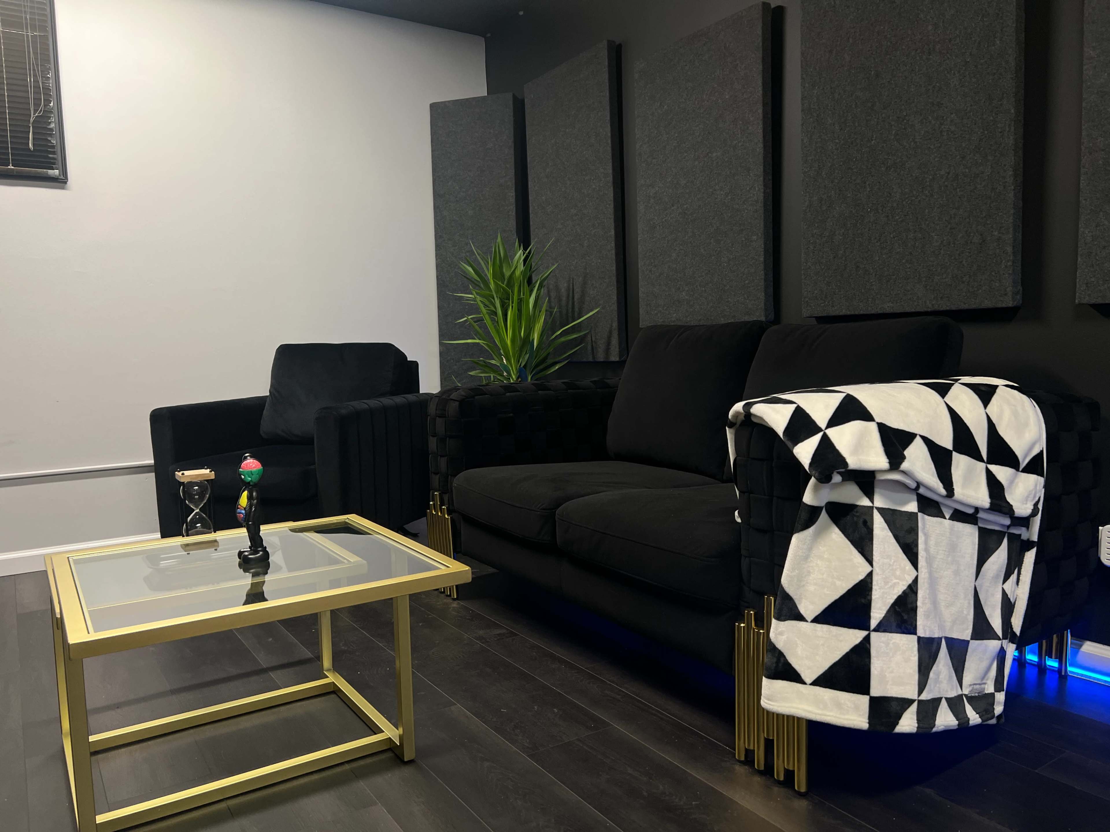 A modern, minimalist living room features a black couch with a patterned blanket, a glass coffee table, a single armchair, and a potted plant against a wall with soundproofing panels.