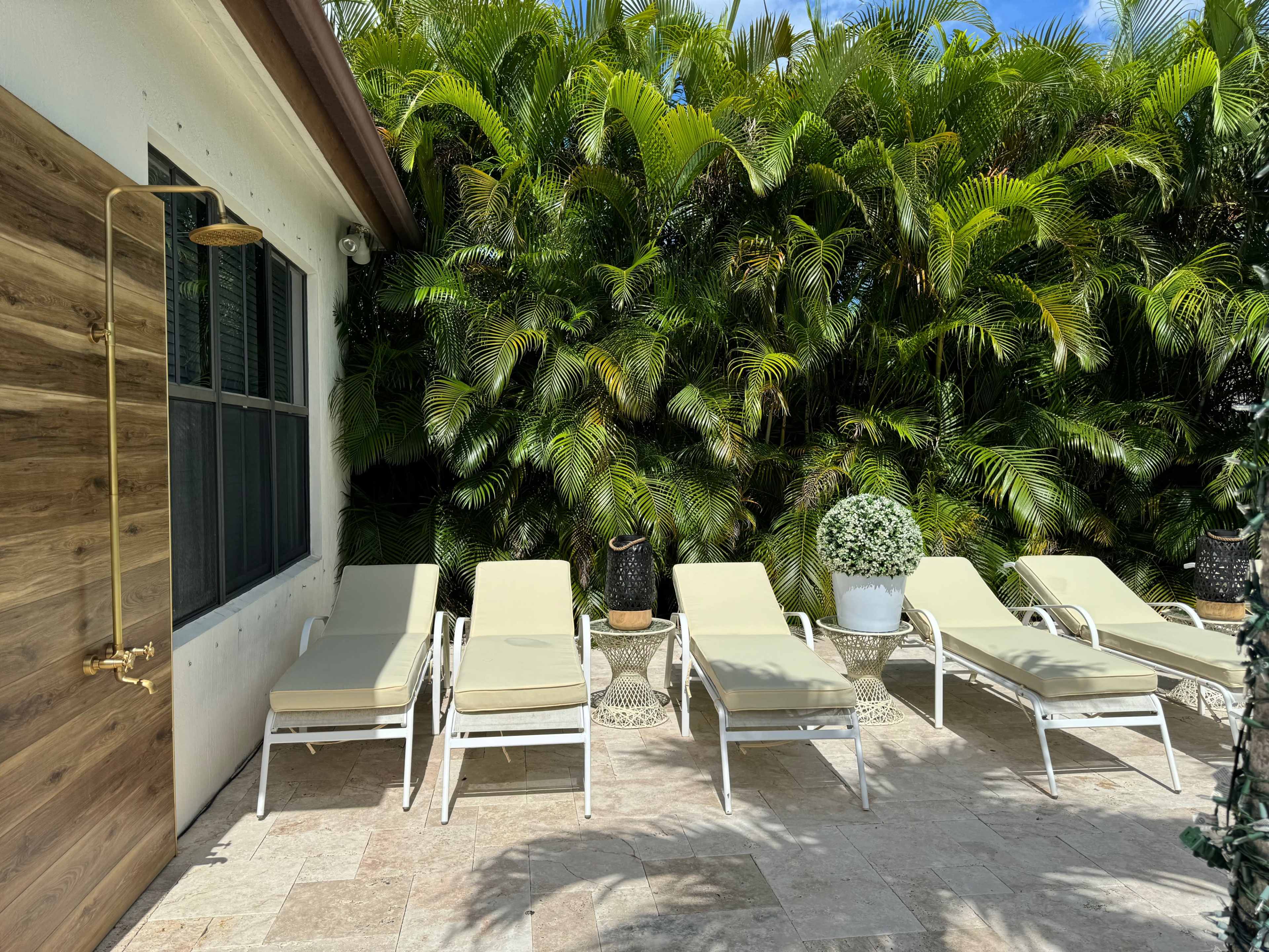 Huge Backyard Tropical Oasis for Unlimited Looks Image in Cooper City, pembroke pines, FL