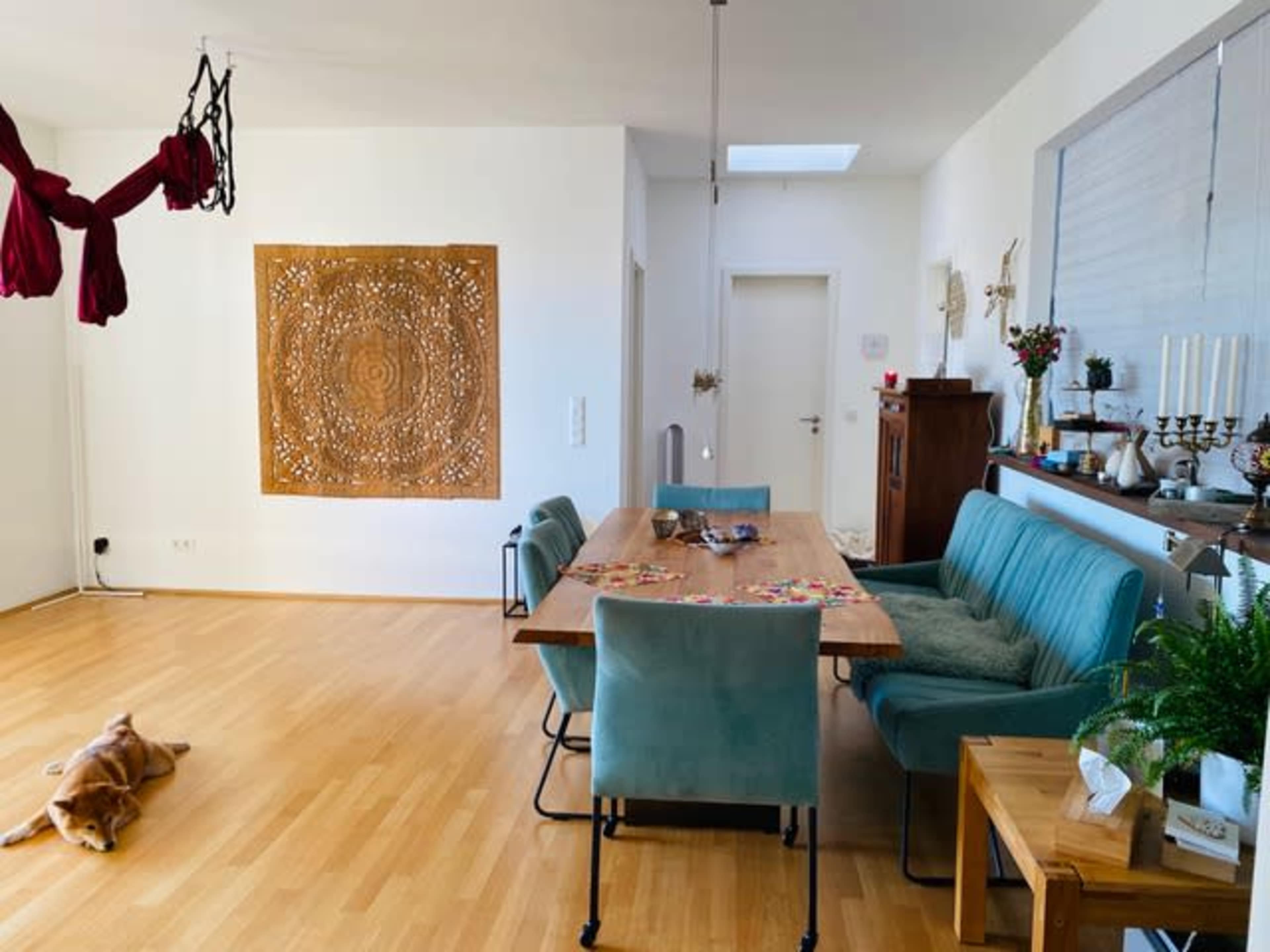 A dining area features a wooden table surrounded by teal chairs, with a decorative wooden panel on the wall and a dog lying on the floor.