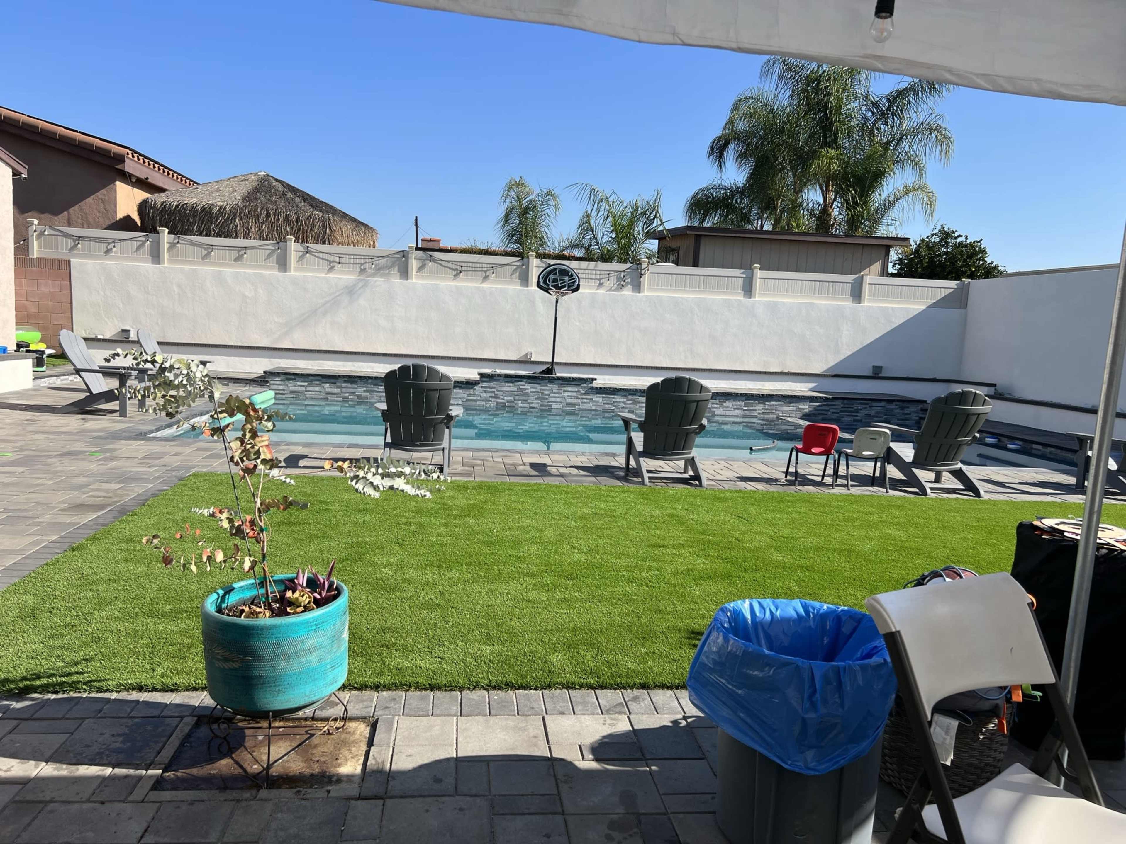 A swimming pool surrounded by chairs, landscaped grass, and a potted plant in a residential backyard.