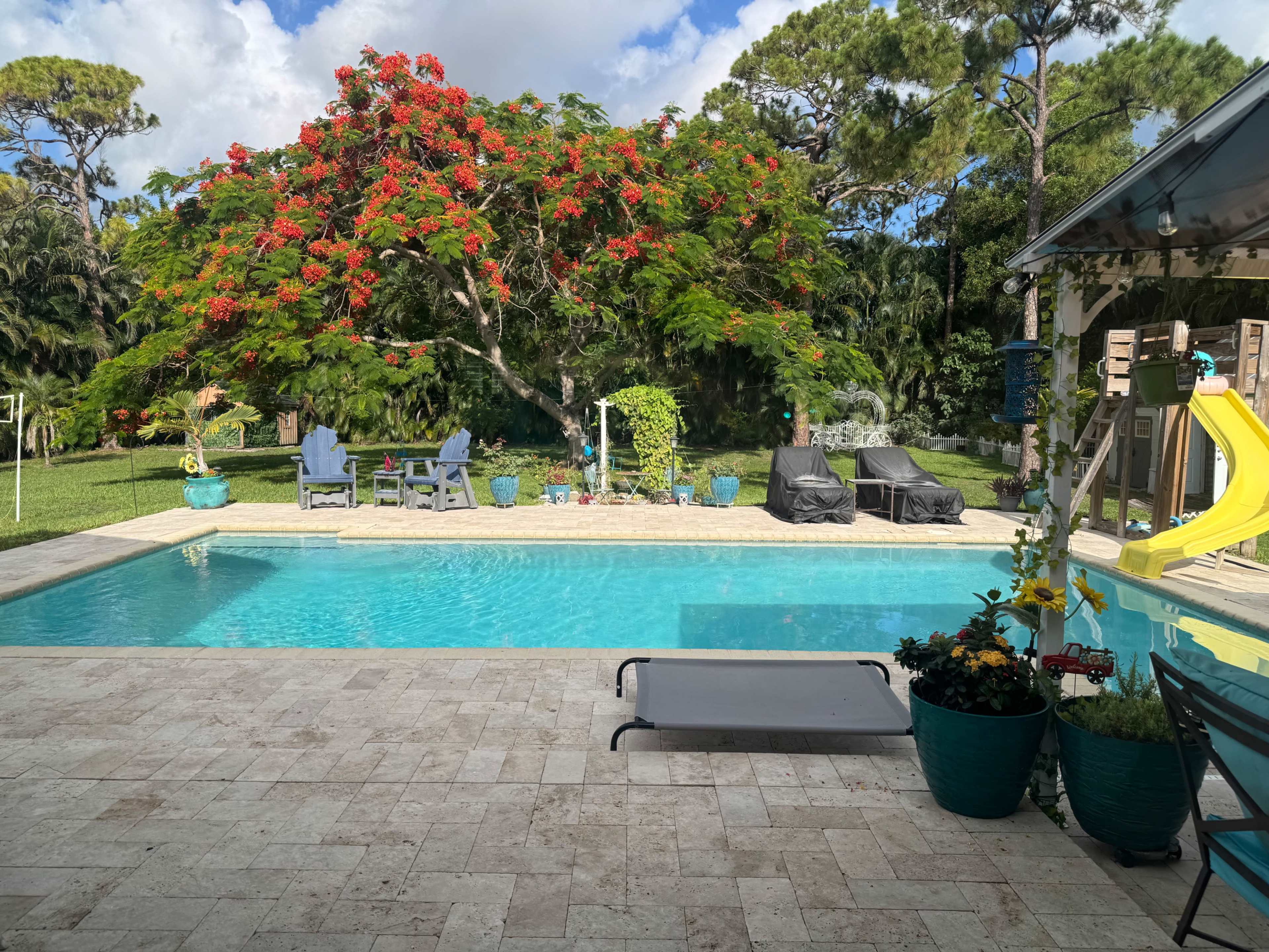 Relaxing butterfly retreat with a pool Image in The Acreage, West Palm Beach, FL