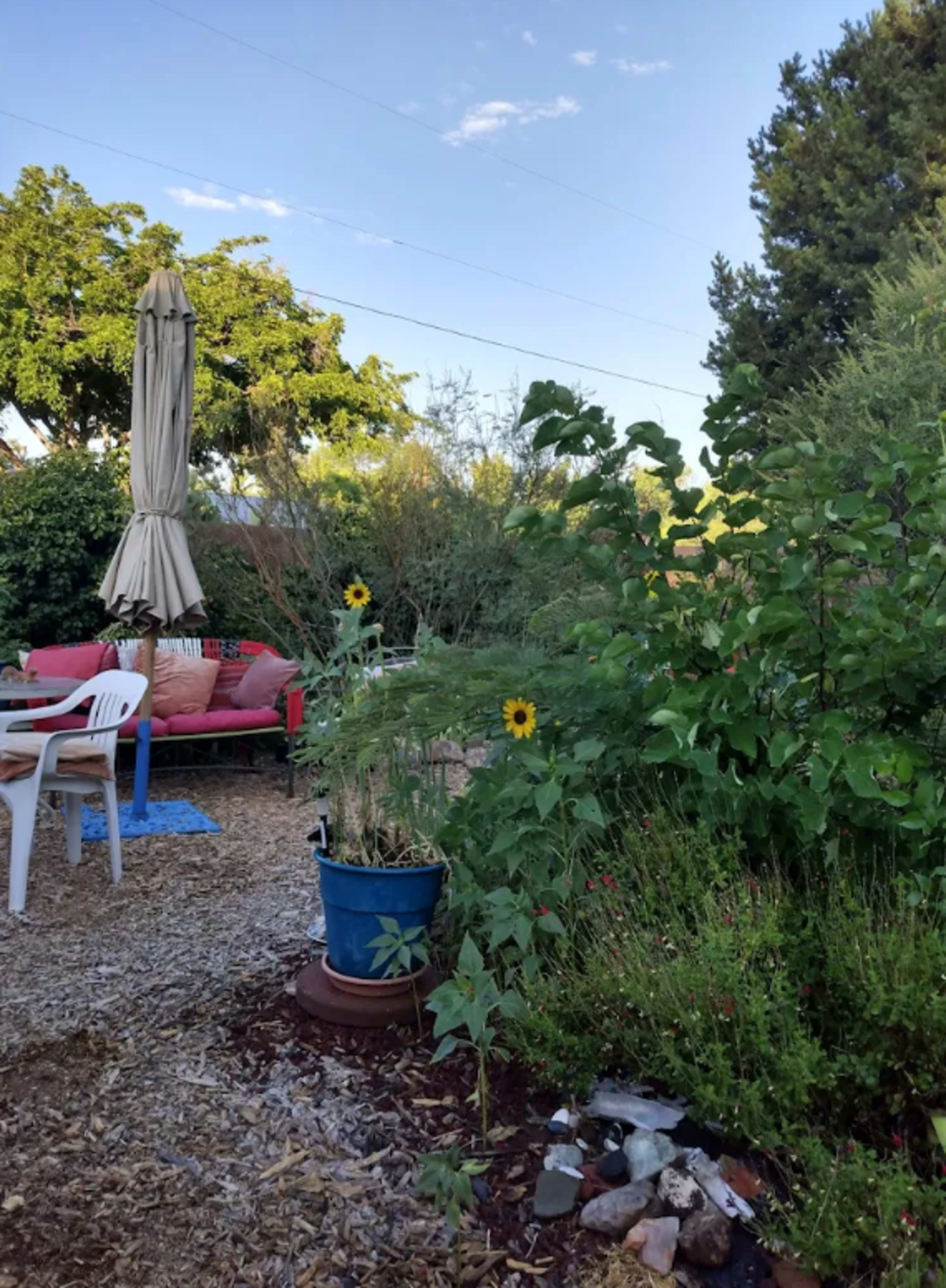 Southwest Boho Garden / House Image in Los Griegos, Albuquerque, NM
