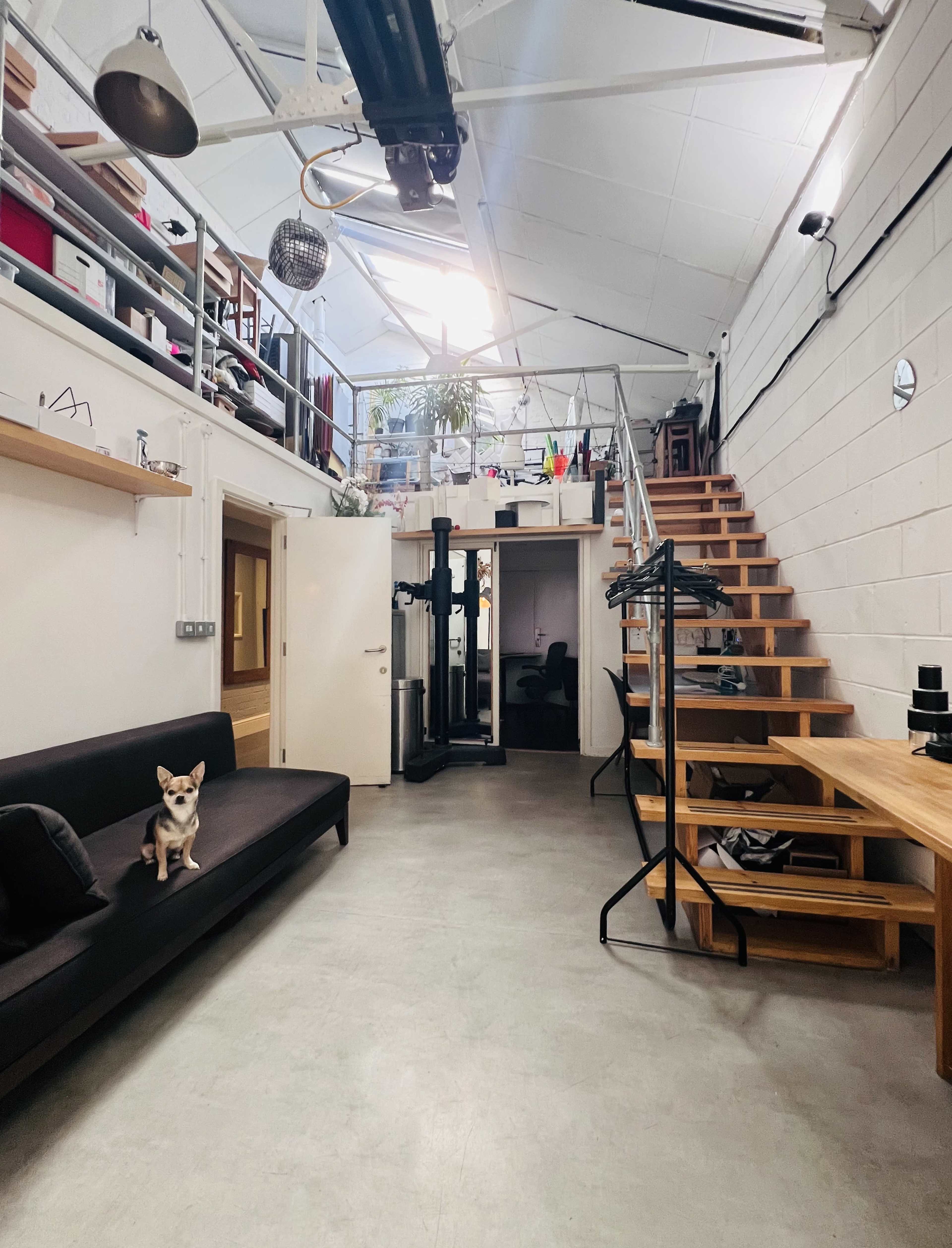 A large, open space features a staircase leading to a loft area, with a couch and a small dog sitting on it, surrounded by various furniture and equipment.