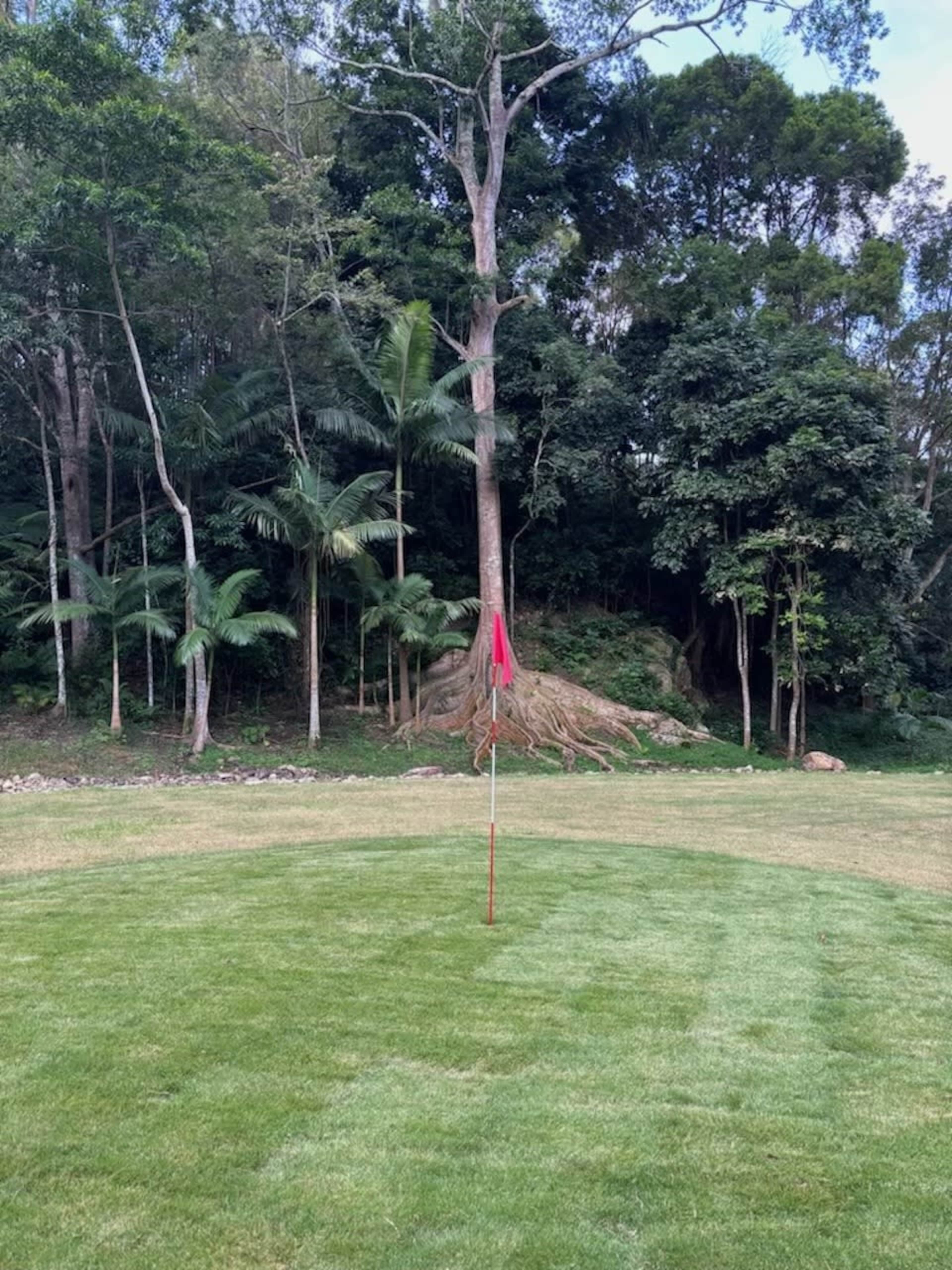 The image shows a golf putting green with a red flag in the hole, surrounded by lush trees and vegetation.