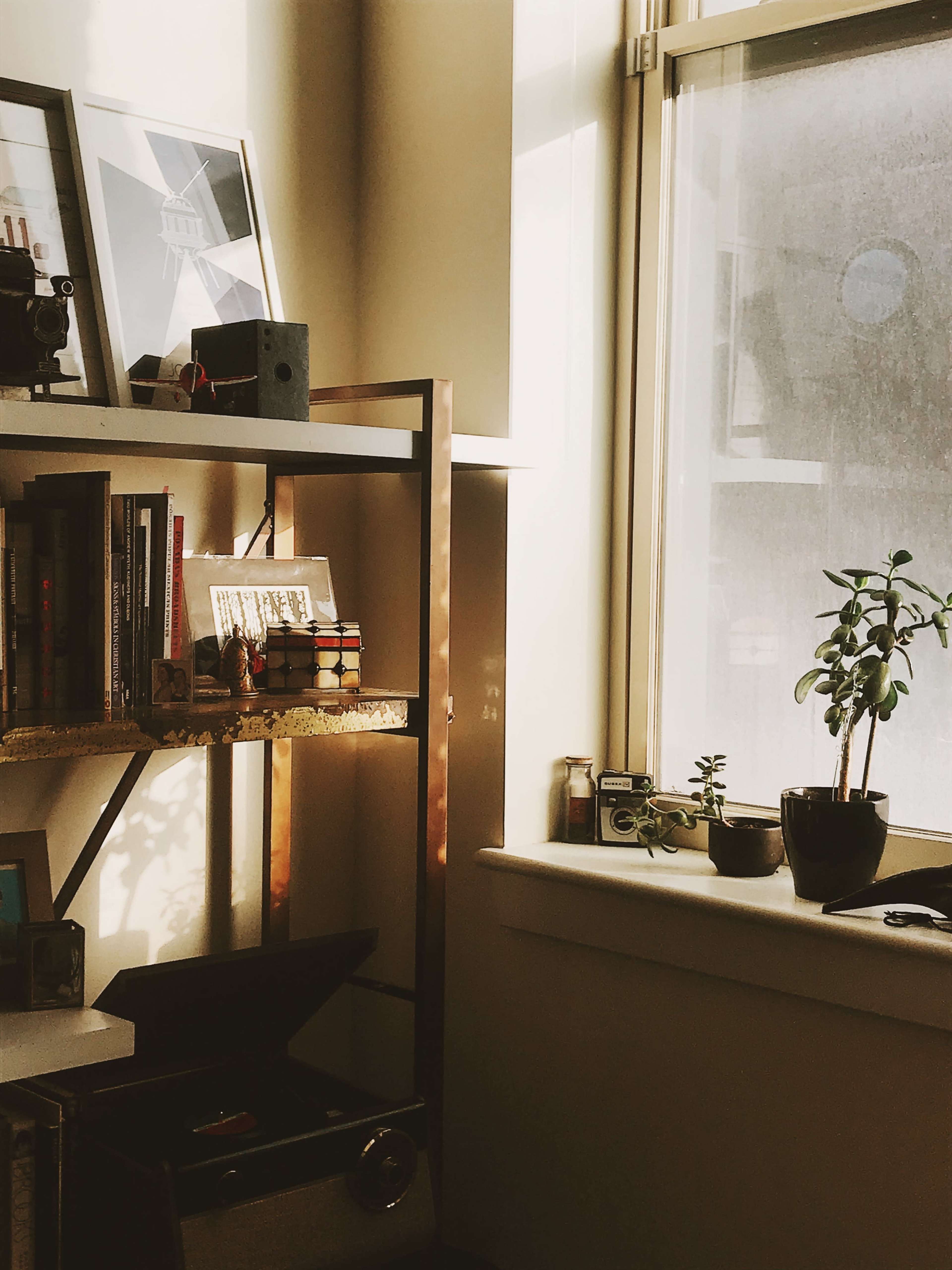 A sunlit corner of a room features a bookshelf filled with books and decorative items, alongside a windowsill with potted plants.