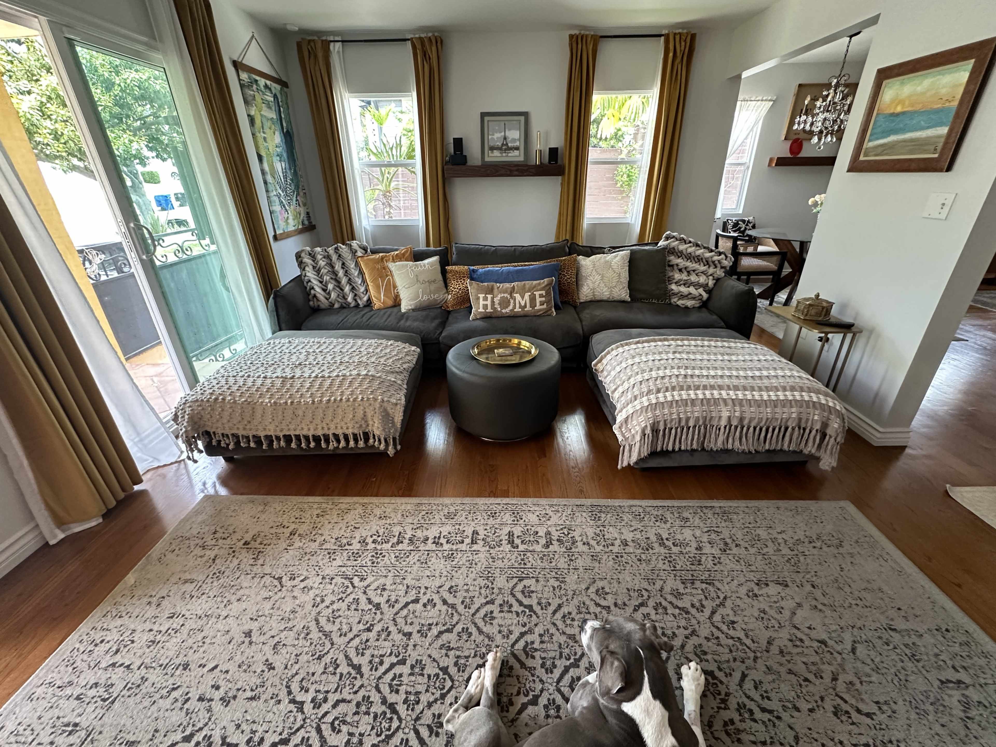 A spacious living room features a dark sectional couch with decorative pillows, a round coffee table, and large windows with yellow curtains, complemented by a gray dog lying on a patterned rug.