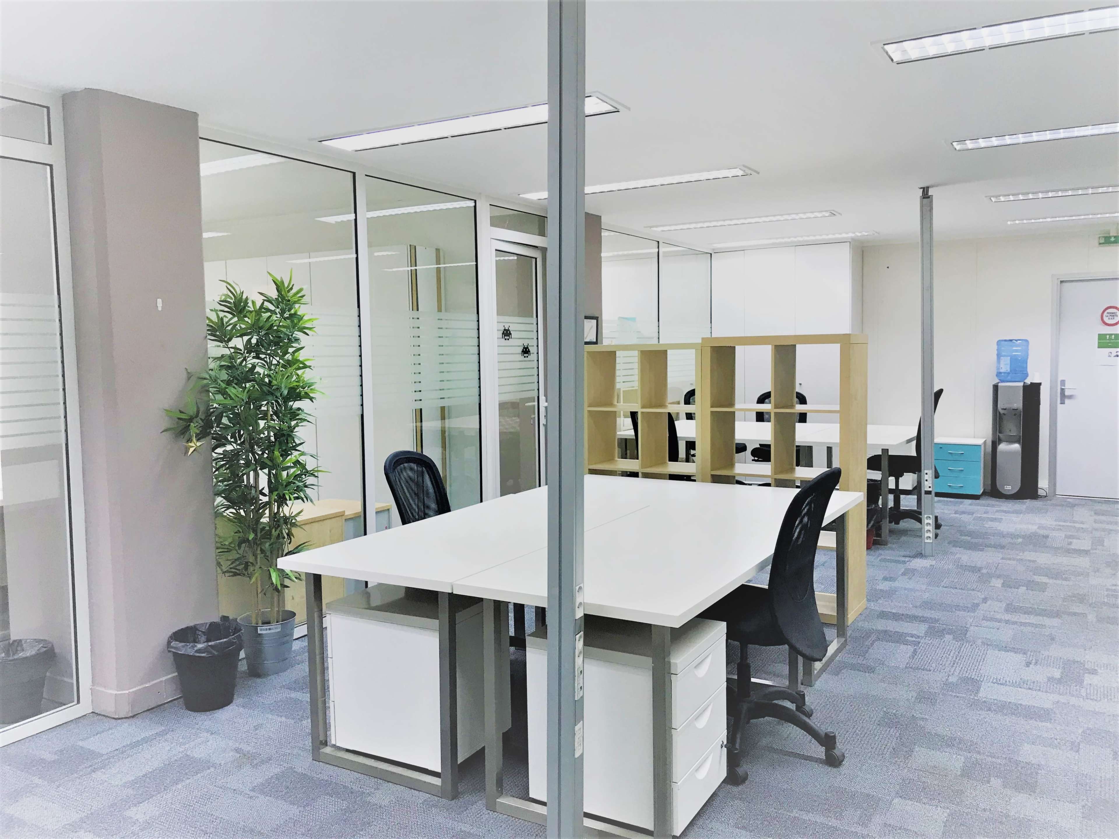 A modern office space with white desks, black chairs, and glass partitions, featuring greenery in the corners.